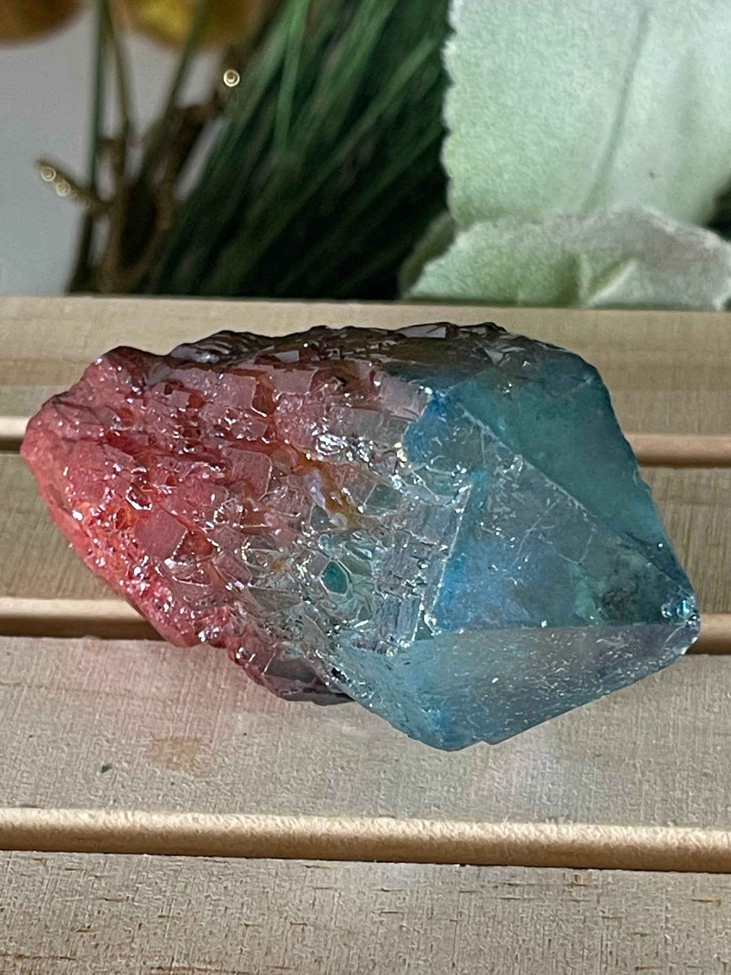 Aura Titanium Plated Rainbow Natural Quartz Crystal Point Blue Red - 349.05Ct