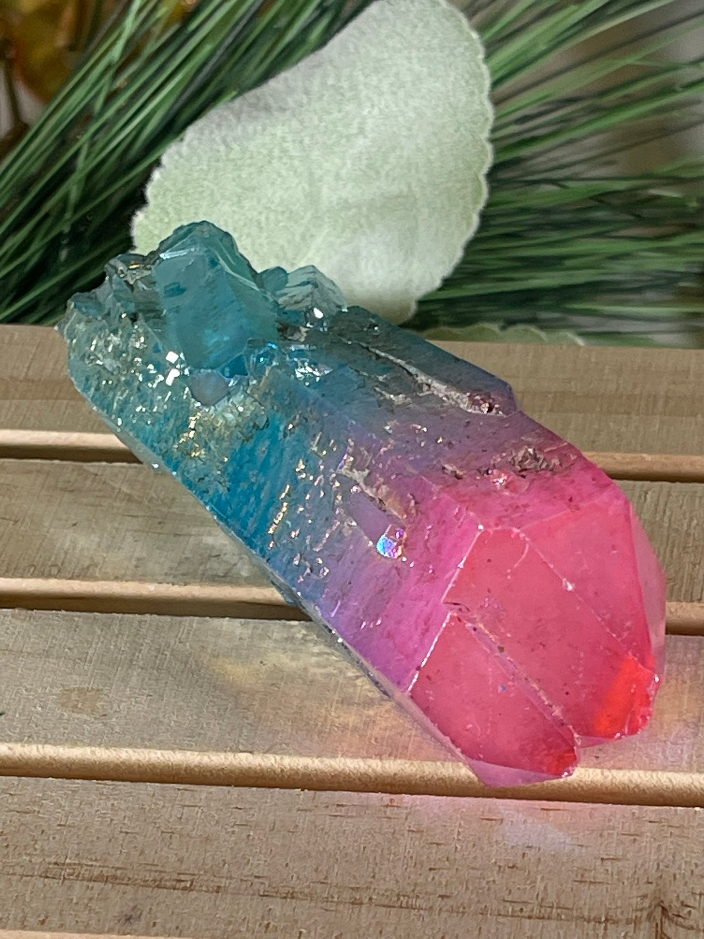 Aura Titanium Plated Natural Quartz Crystal Point Rainbow Pink Blue - 570.05Ct