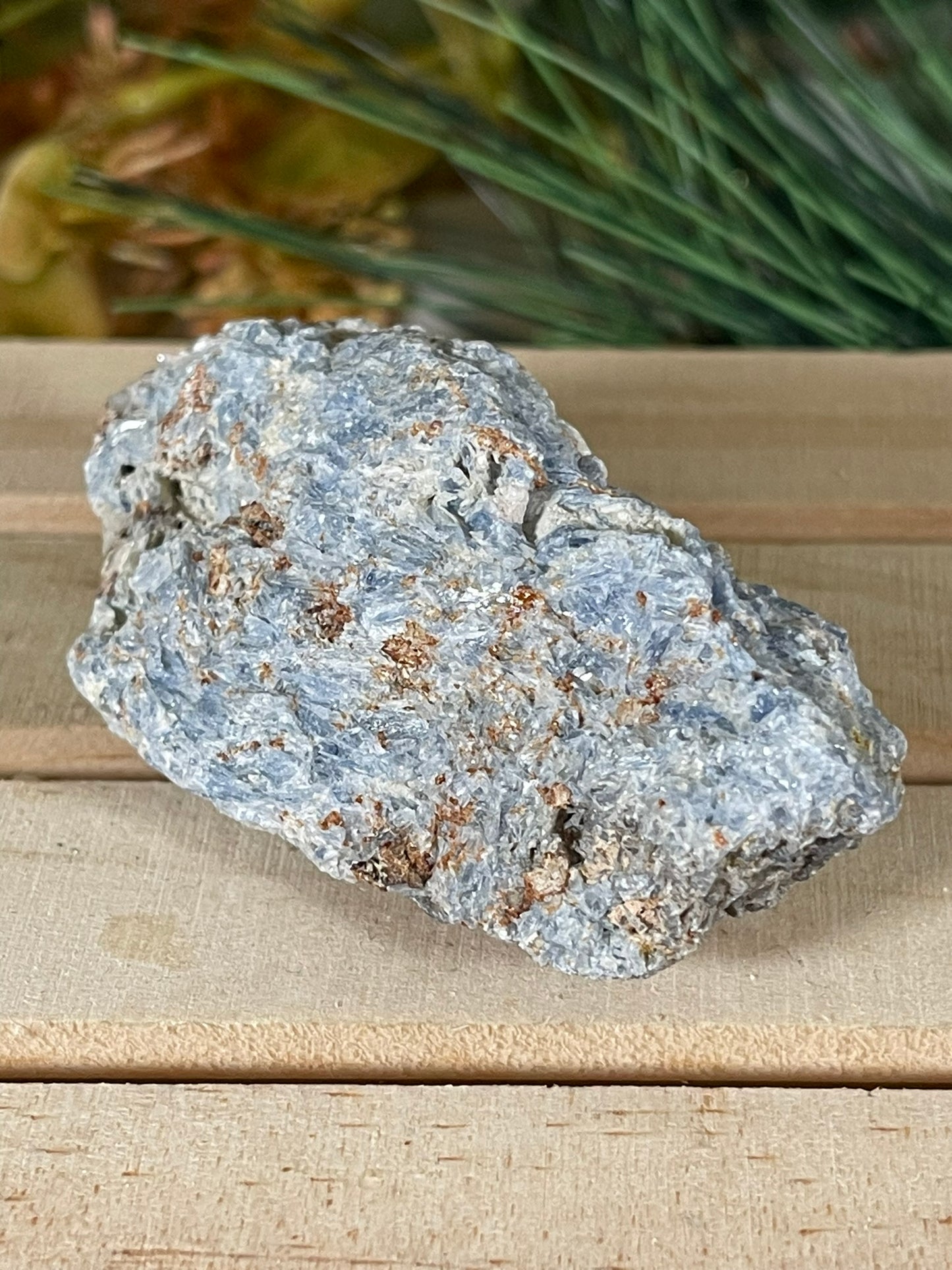 Rough Kyanite - Natural Earth Mined with blue blades embedded in matrix specimen - 76g