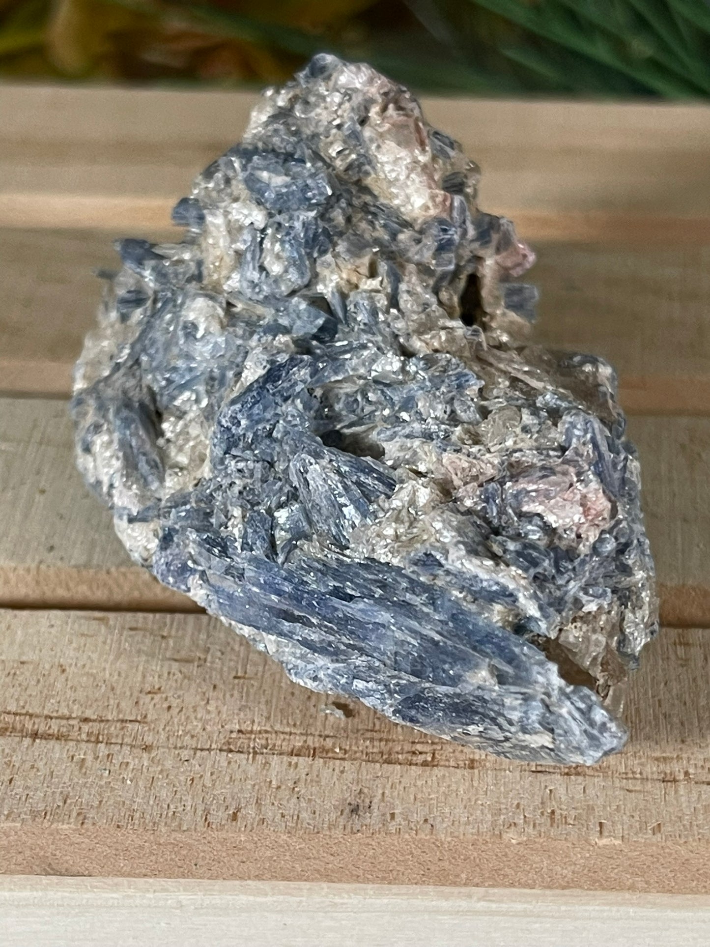 Rough Kyanite - Natural Earth Mined with blue blades embedded in matrix specimen - 67g