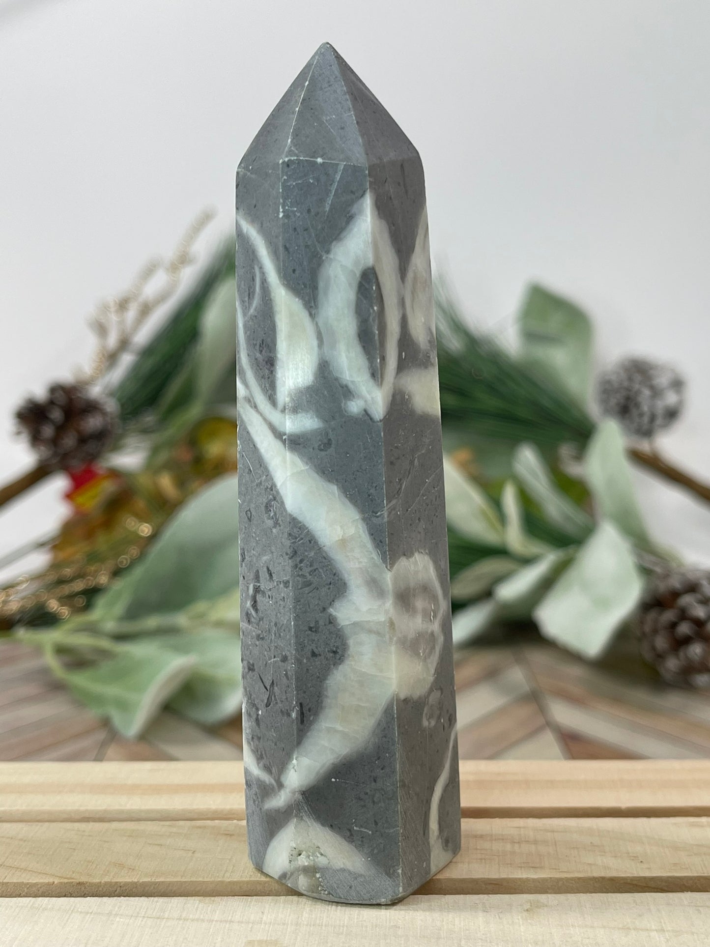 Tower - Shell Stone Jasper Natural Stone Crystal Obelisk Point - 162g