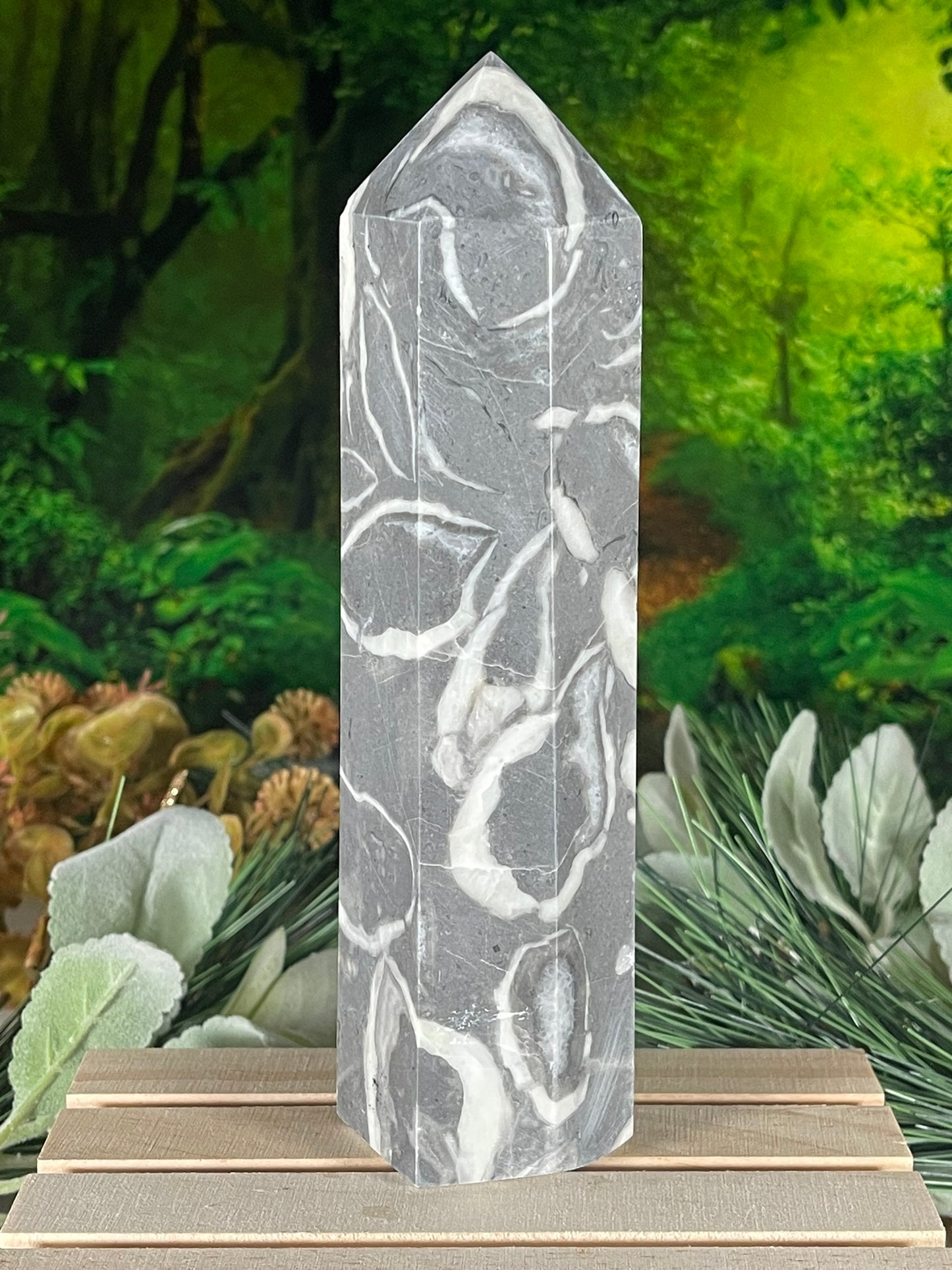 Tower - Shell Stone Jasper Natural Stone Crystal Obelisk Point - 703g