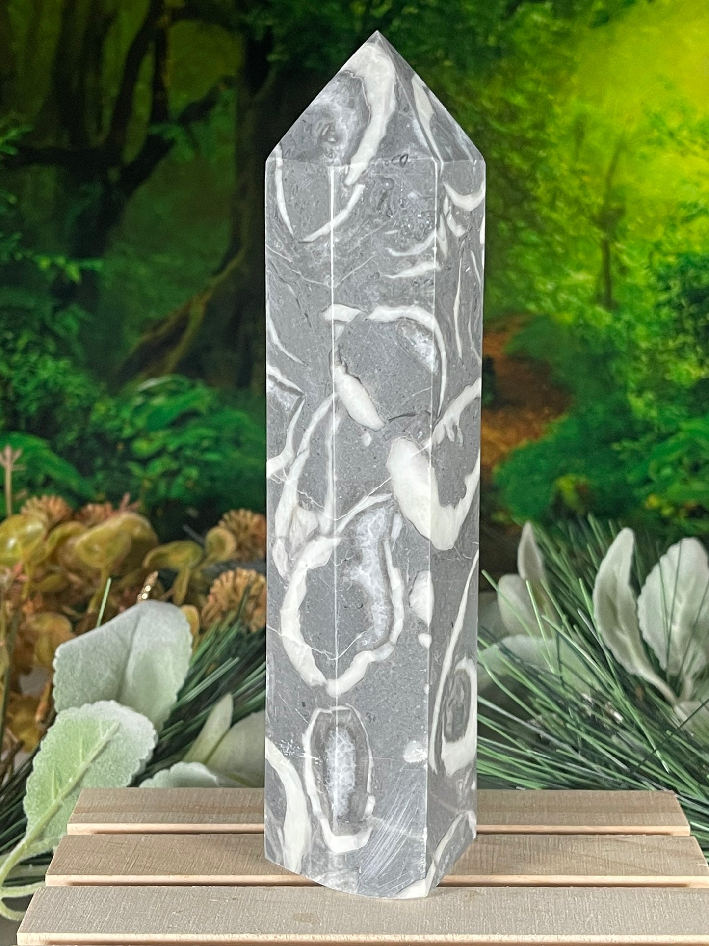 Tower - Shell Stone Jasper Natural Stone Crystal Obelisk Point - 703g