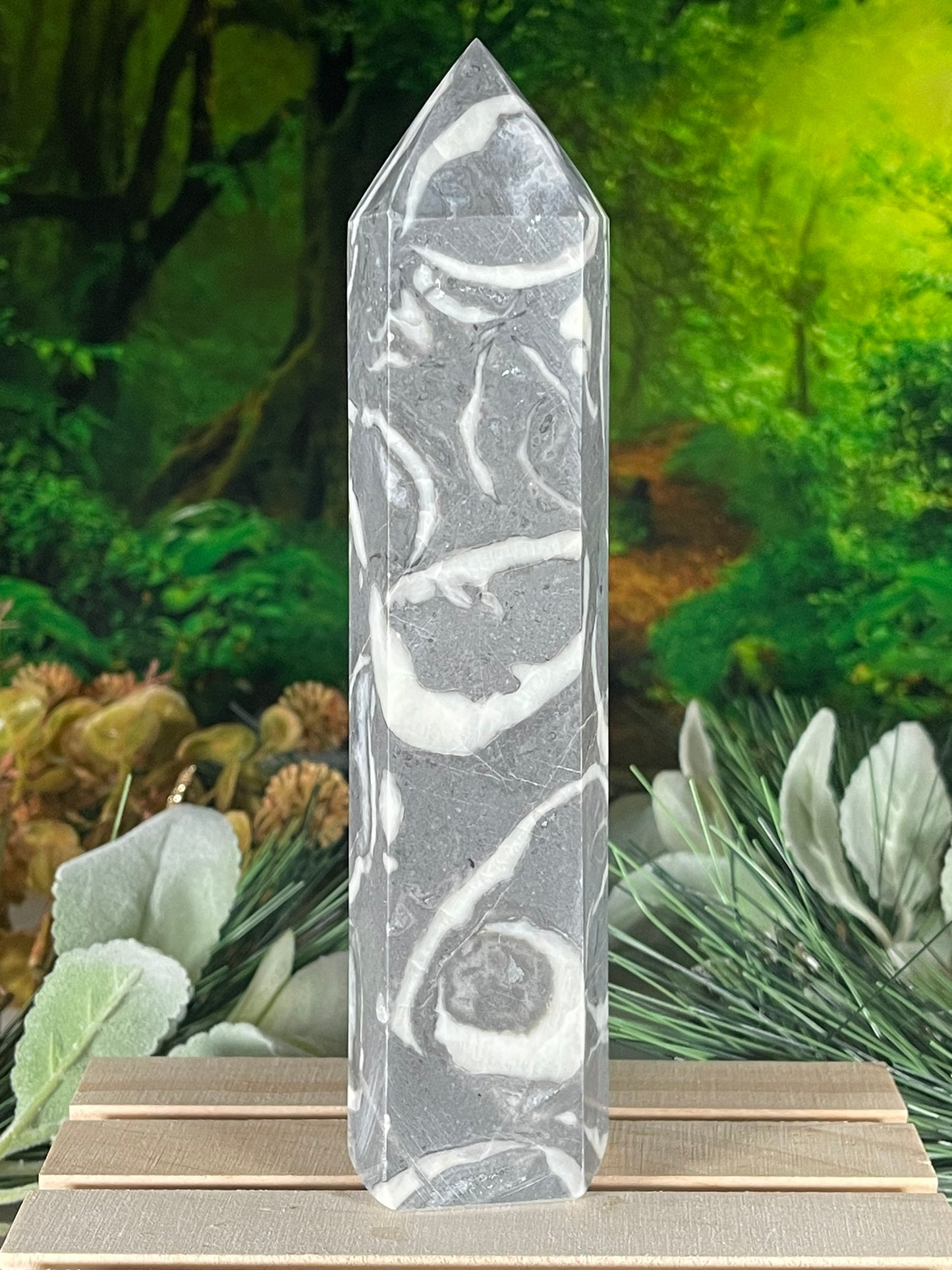 Tower - Shell Stone Jasper Natural Stone Crystal Obelisk Point - 703g