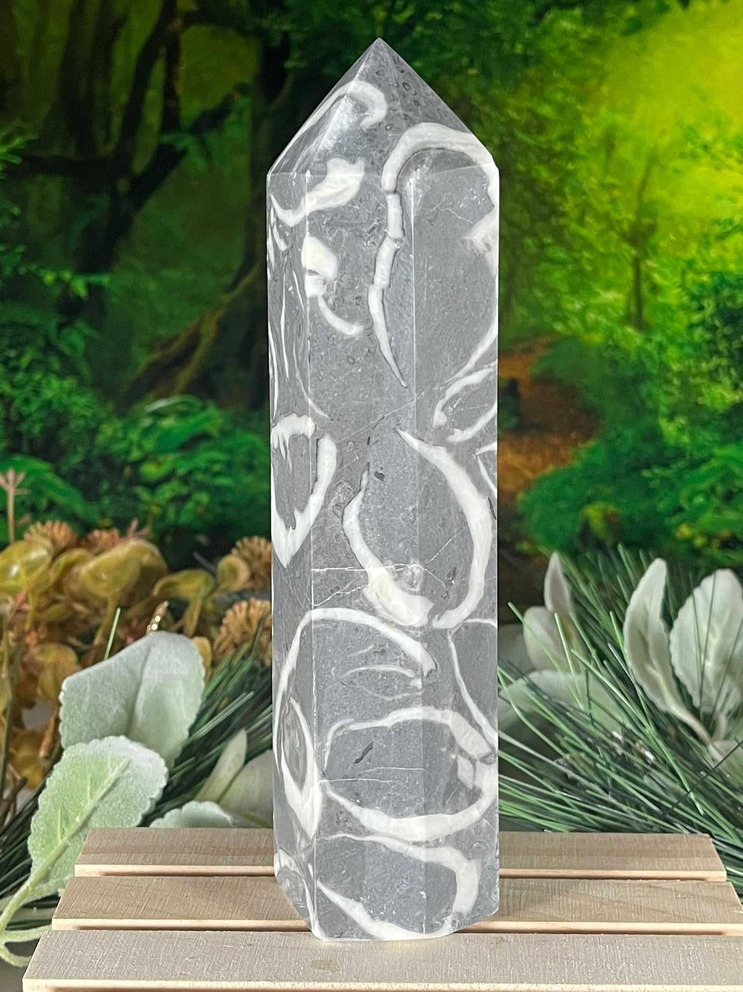 Tower - Shell Stone Jasper Natural Stone Crystal Obelisk Point - 703g