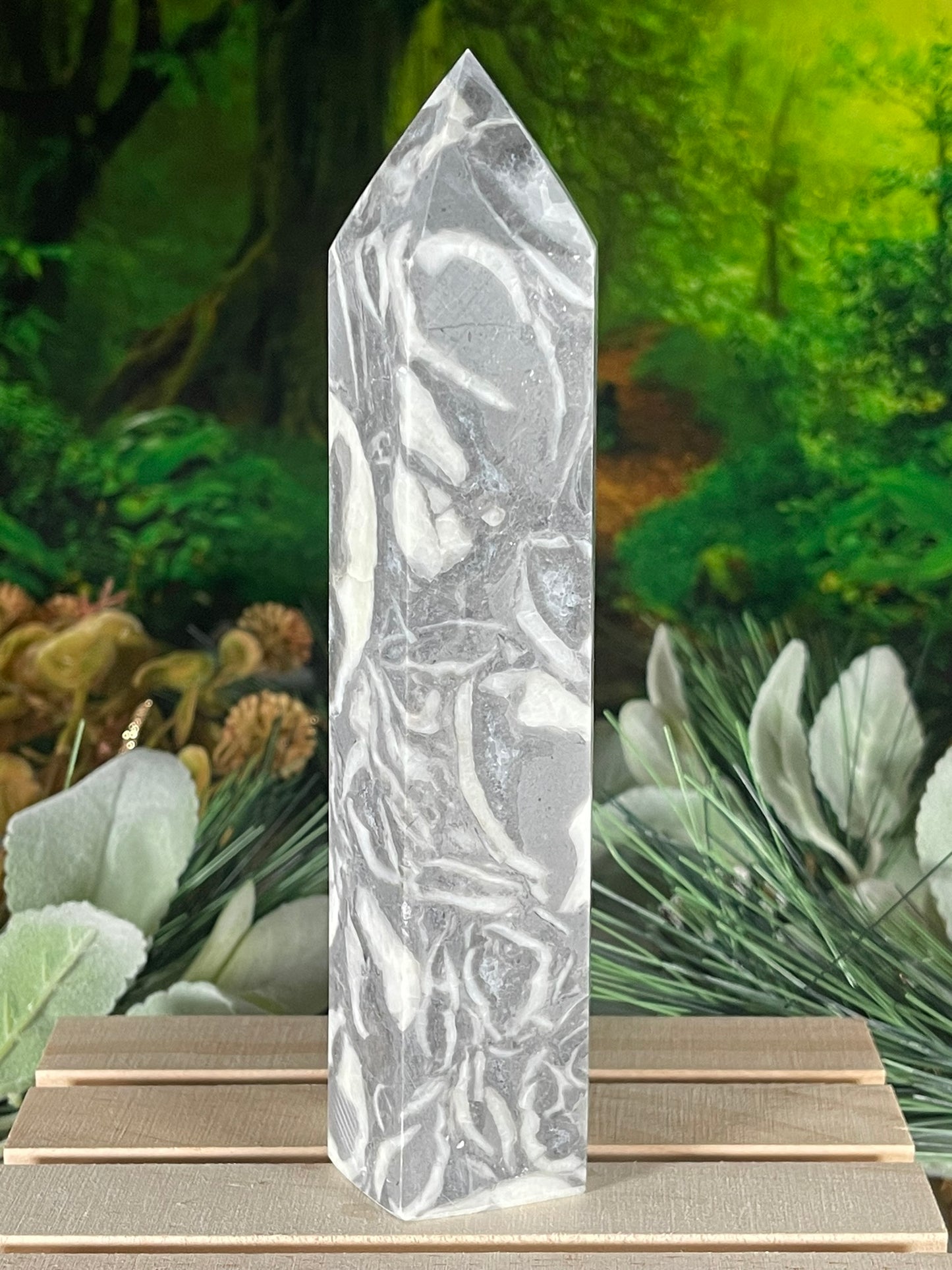 Tower - Shell Stone Jasper Natural Stone Crystal Obelisk Point - 650g