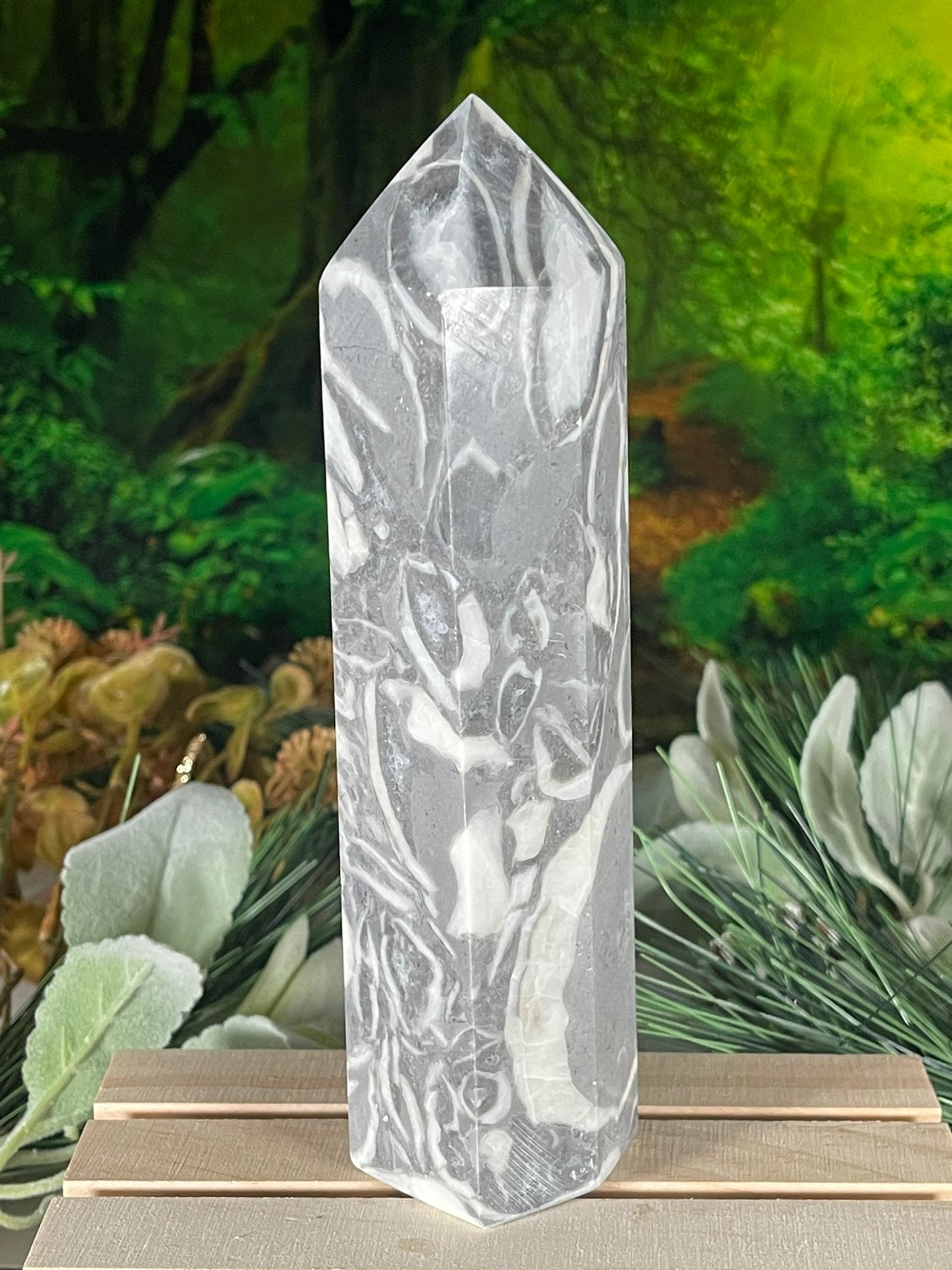 Tower - Shell Stone Jasper Natural Stone Crystal Obelisk Point - 650g