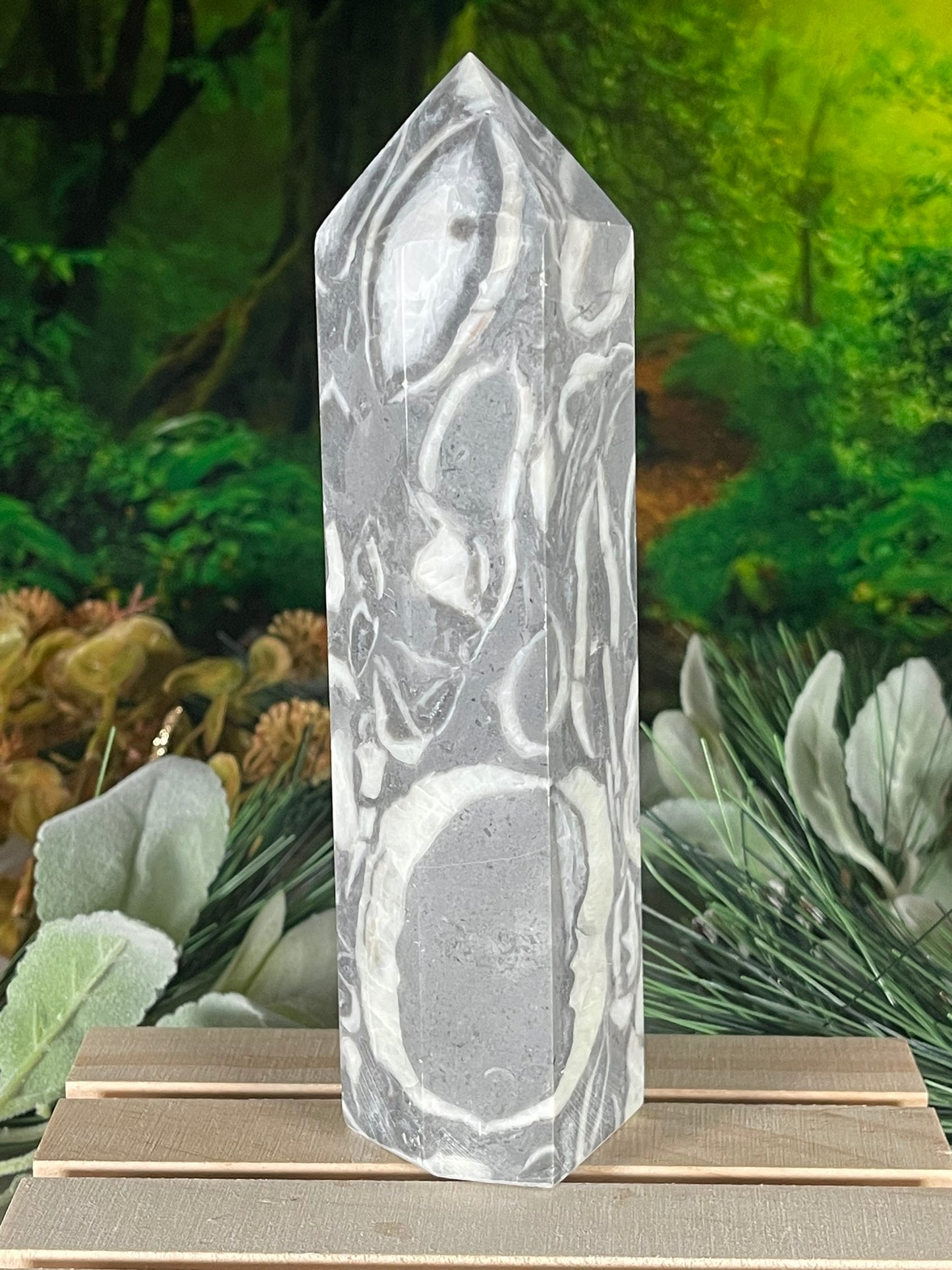 Tower - Shell Stone Jasper Natural Stone Crystal Obelisk Point - 650g