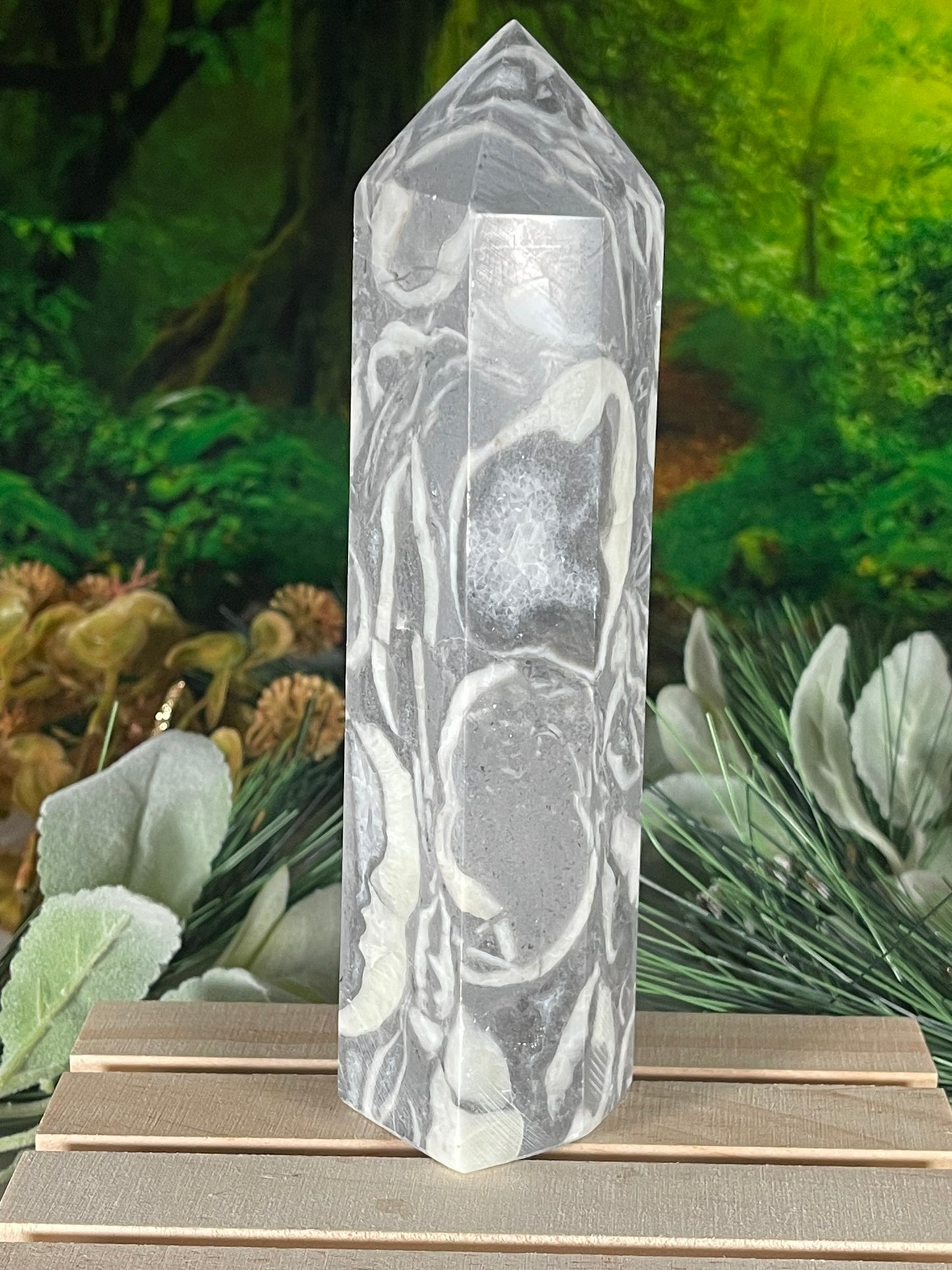 Tower - Shell Stone Jasper Natural Stone Crystal Obelisk Point - 650g