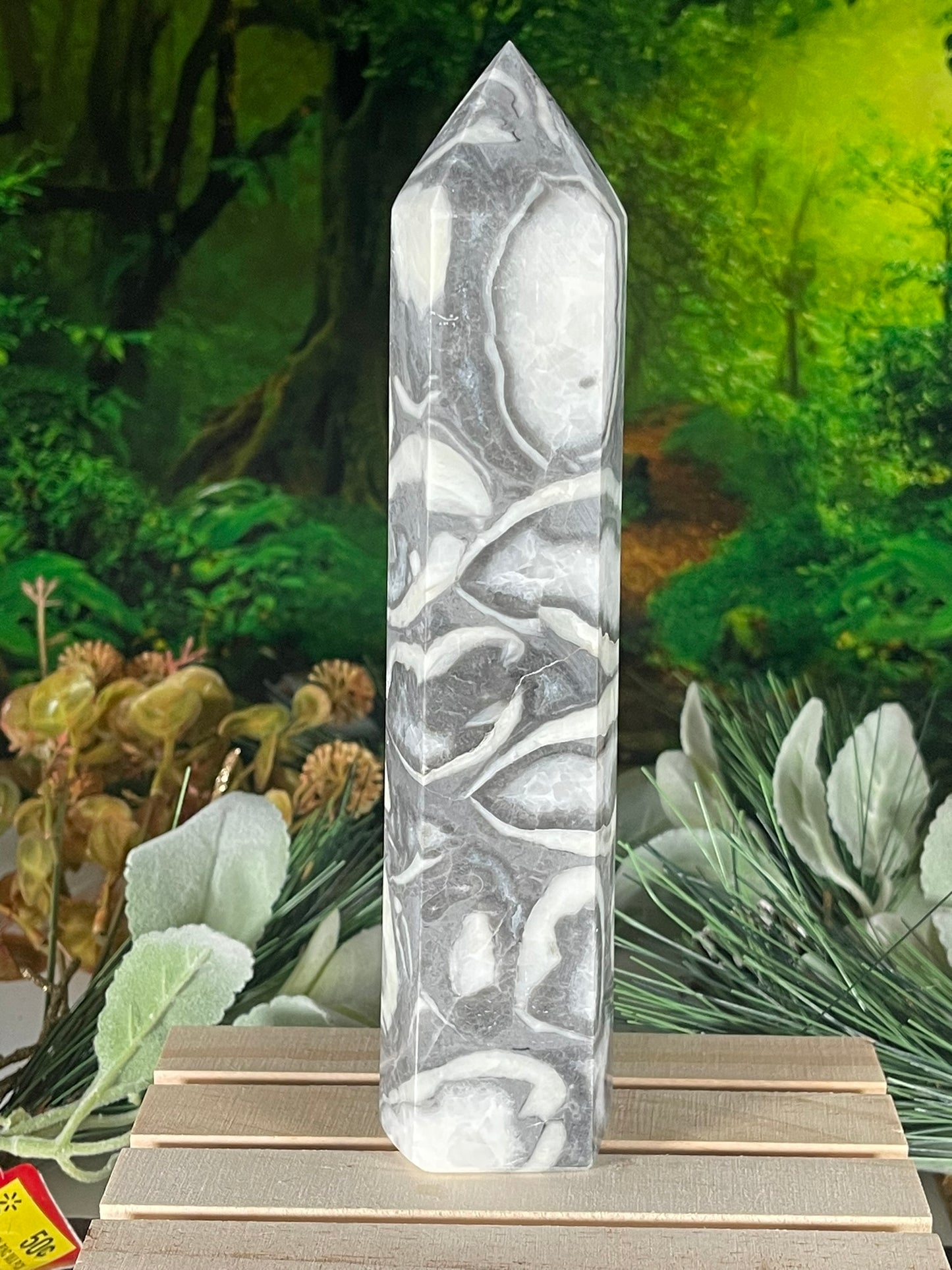 Tower - Shell Stone Jasper Natural Stone Crystal Obelisk Point - 801g