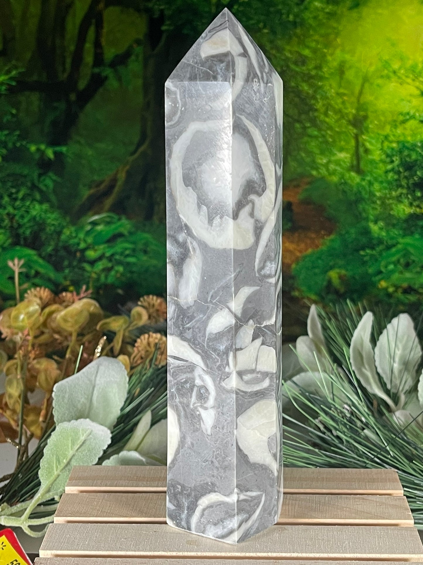 Tower - Natural Shell Stone Thousand Eye Jasper Crystal Obelisk Point Tower - 806g - 1.771lb - 20.6cm