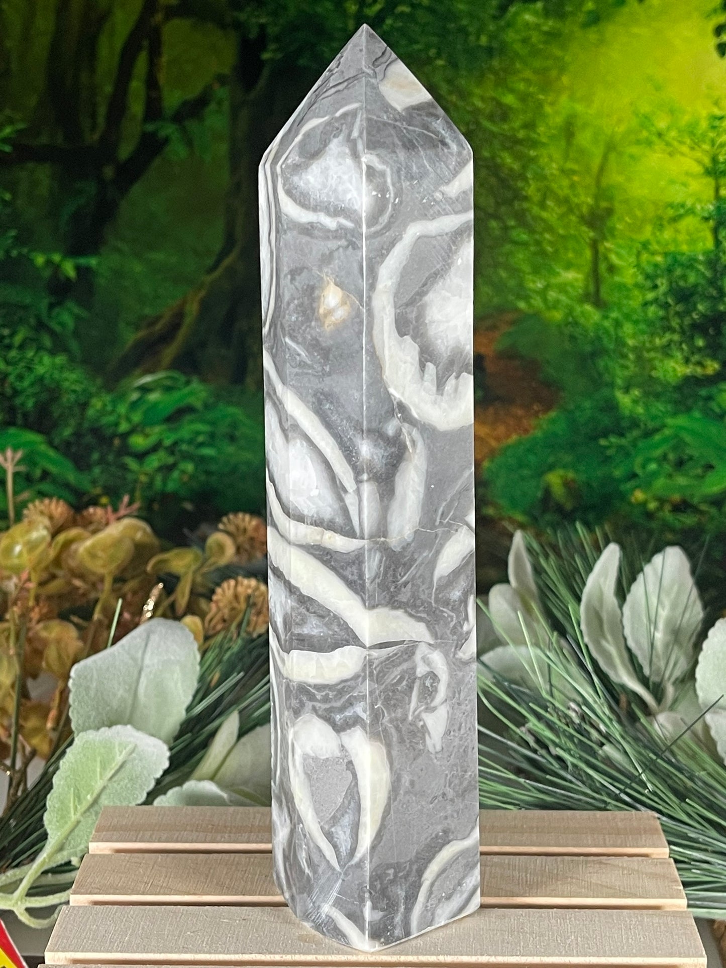 Tower - Shell Stone Jasper Natural Stone Crystal Obelisk Point - 801g