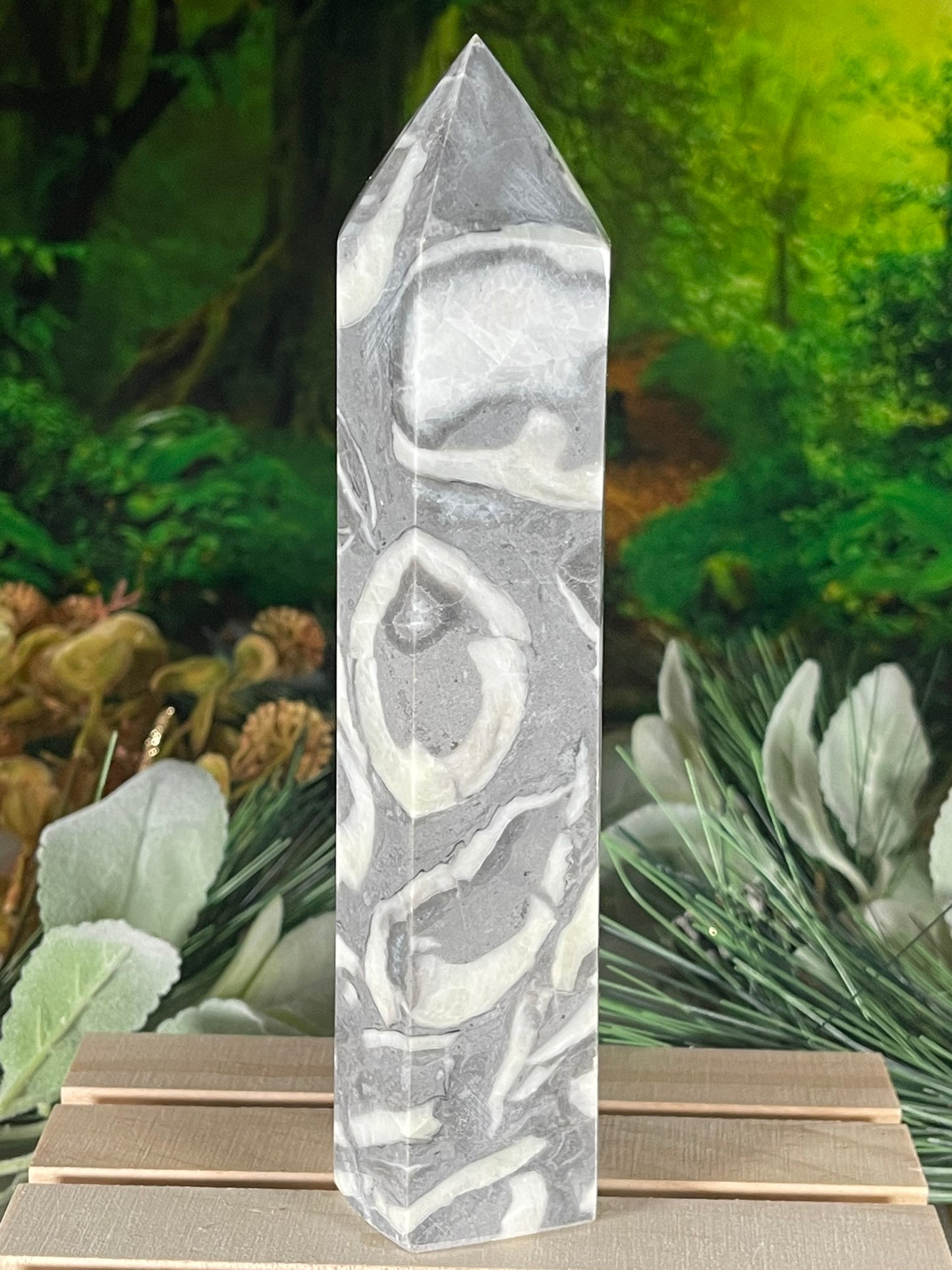 Tower - Shell Stone Jasper Natural Stone Crystal Obelisk Point - 689g