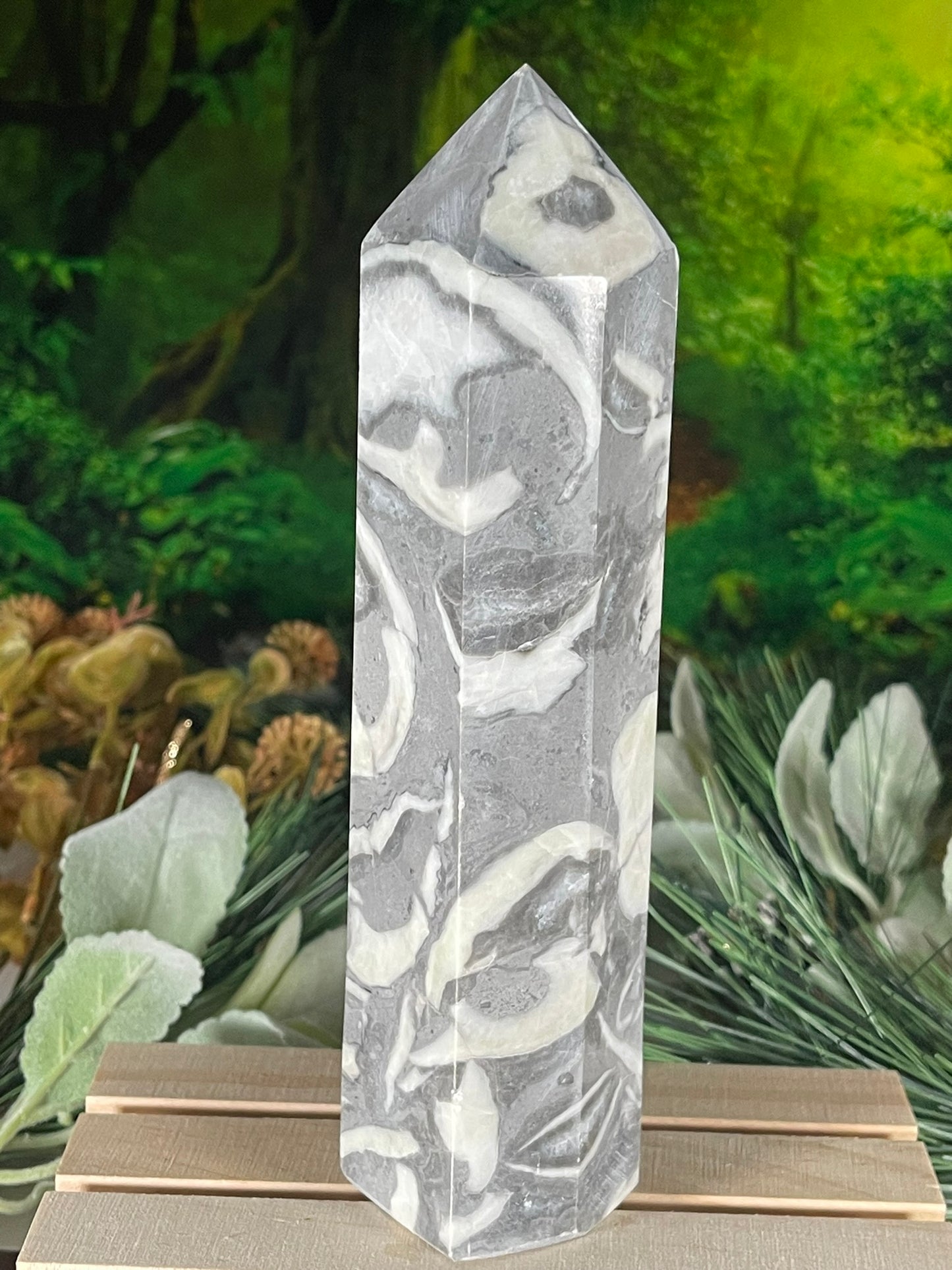 Tower - Shell Stone Jasper Natural Stone Crystal Obelisk Point - 689g