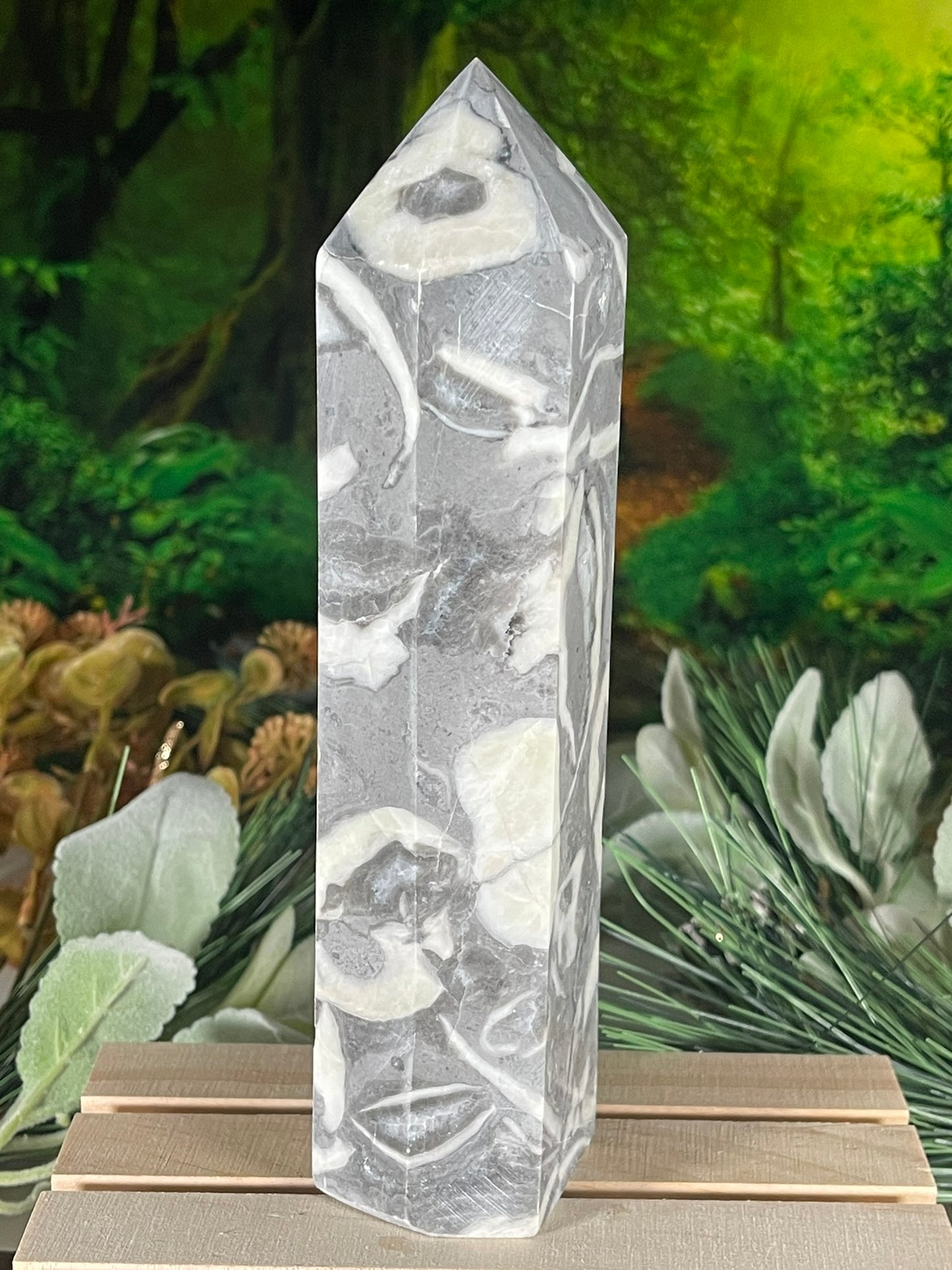 Tower - Shell Stone Jasper Natural Stone Crystal Obelisk Point - 689g