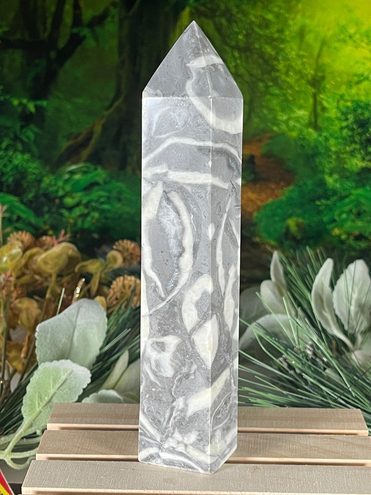 Tower - Shell Stone Jasper Natural Stone Crystal Obelisk Point - 689g