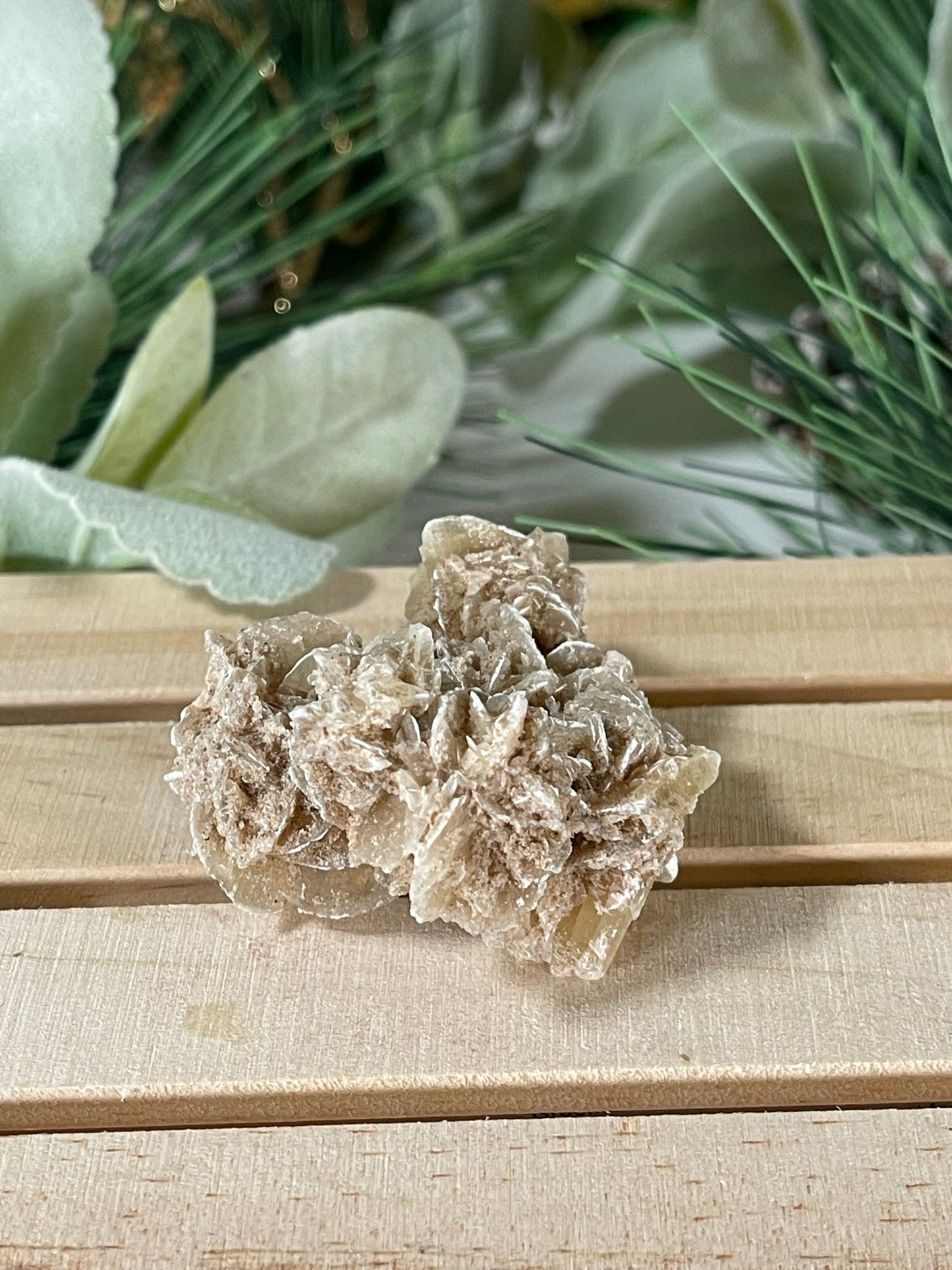 Desert Rose - Beautiful Large Crystal Selenite Mineral #01