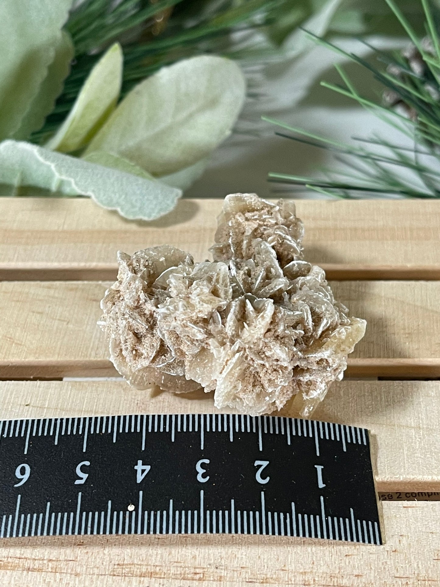 Desert Rose - Beautiful Large Crystal Selenite Mineral #01