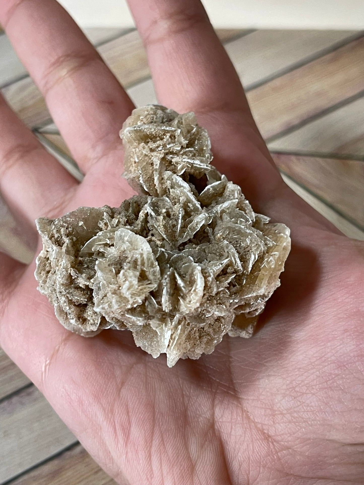 Desert Rose - Beautiful Large Crystal Selenite Mineral #01