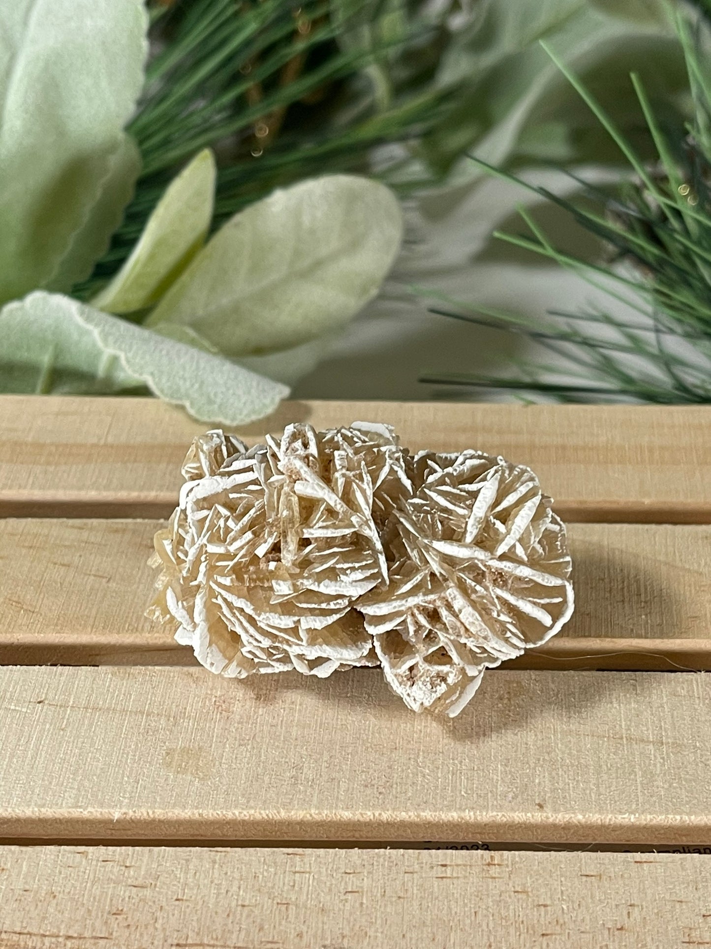 Desert Rose - Beautiful Large Crystal Selenite Mineral #02