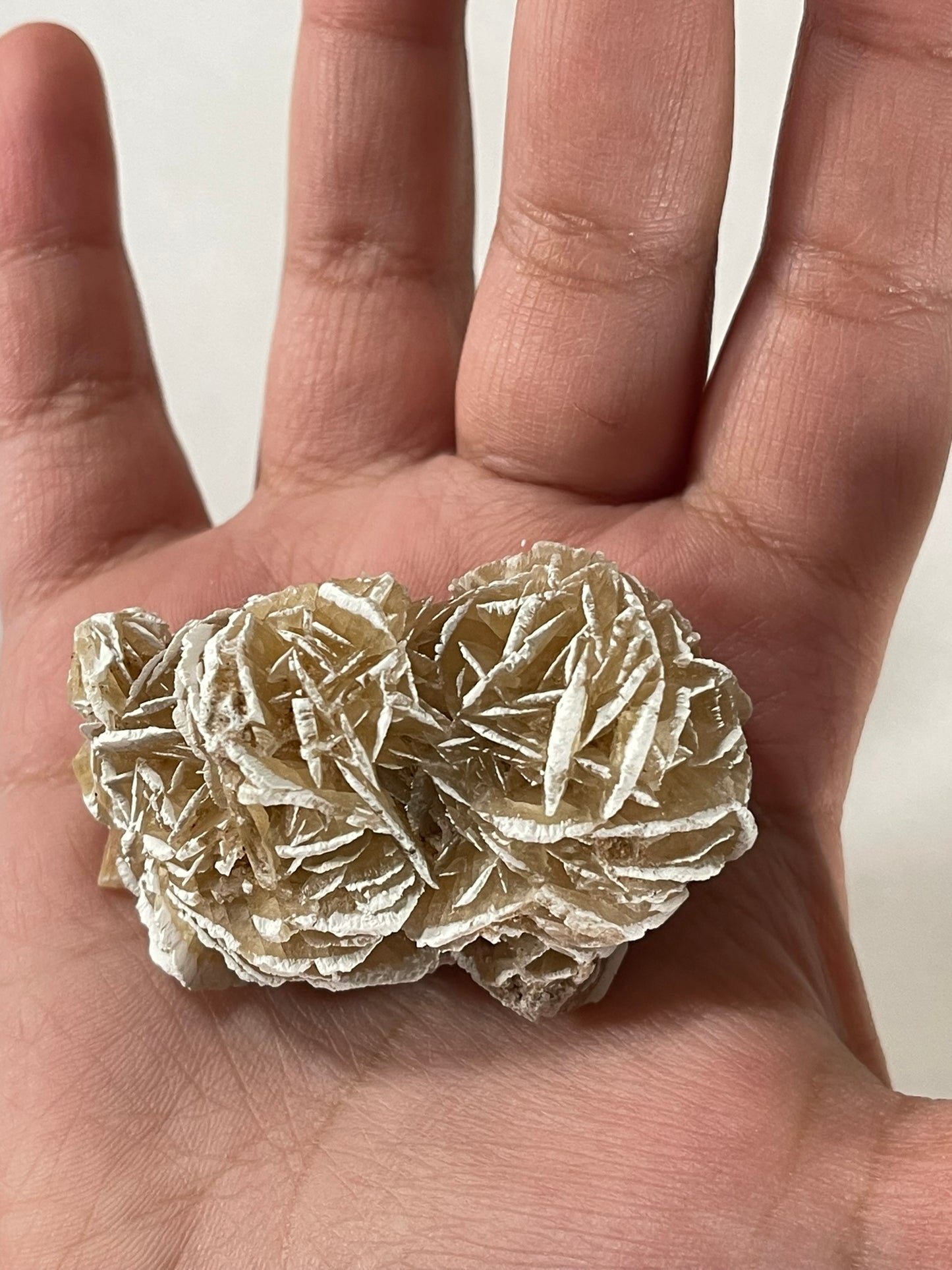 Desert Rose - Beautiful Large Crystal Selenite Mineral #02