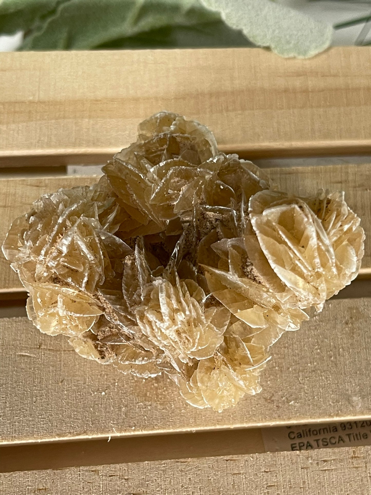 Desert Rose - Beautiful and Unique Large Crystal Selenite Mineral #12