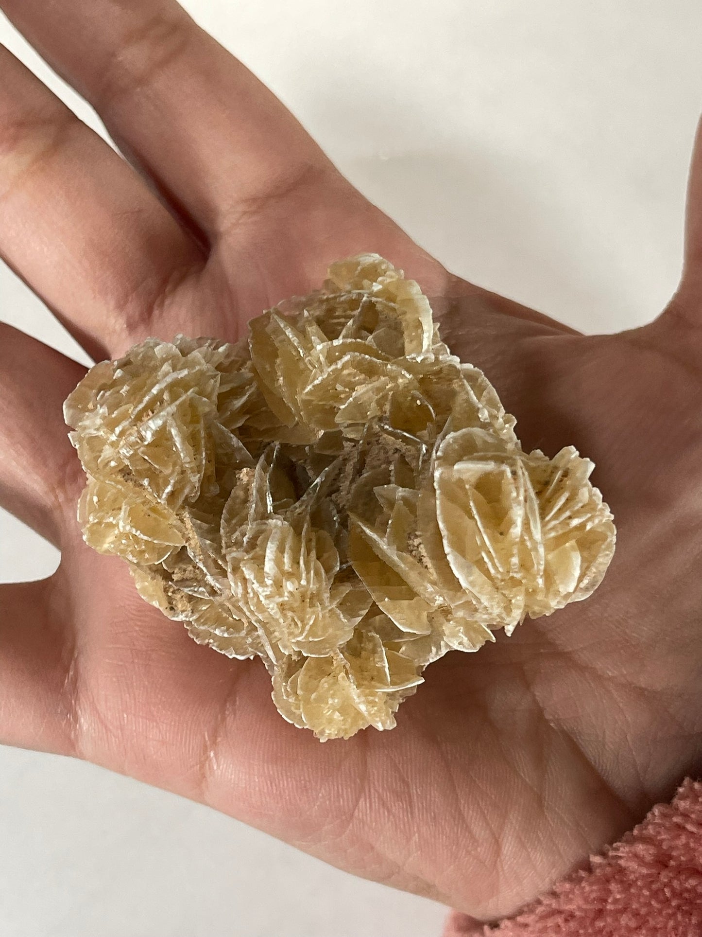 Desert Rose - Beautiful and Unique Large Crystal Selenite Mineral #12