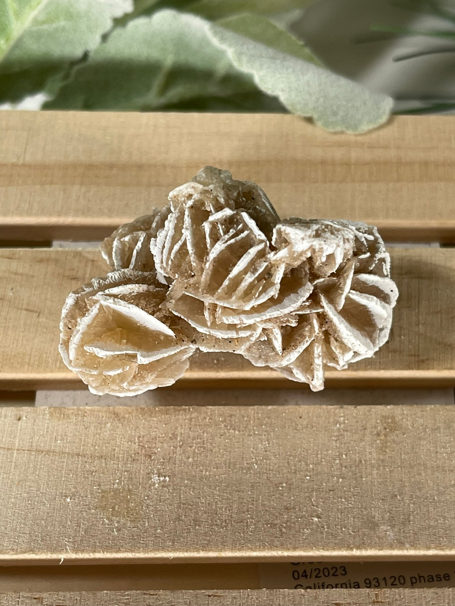 Desert Rose - Beautiful and Unique Large Crystal Selenite Mineral #14