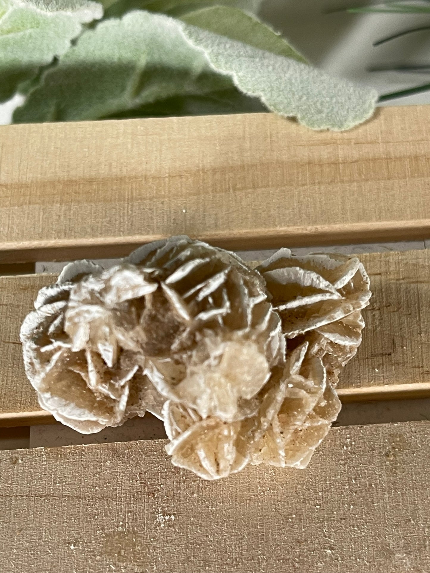 Desert Rose - Beautiful and Unique Large Crystal Selenite Mineral #14