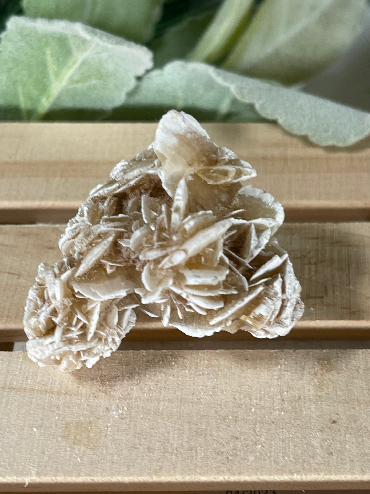 Desert Rose - Beautiful and Unique Large Crystal Selenite Mineral #15