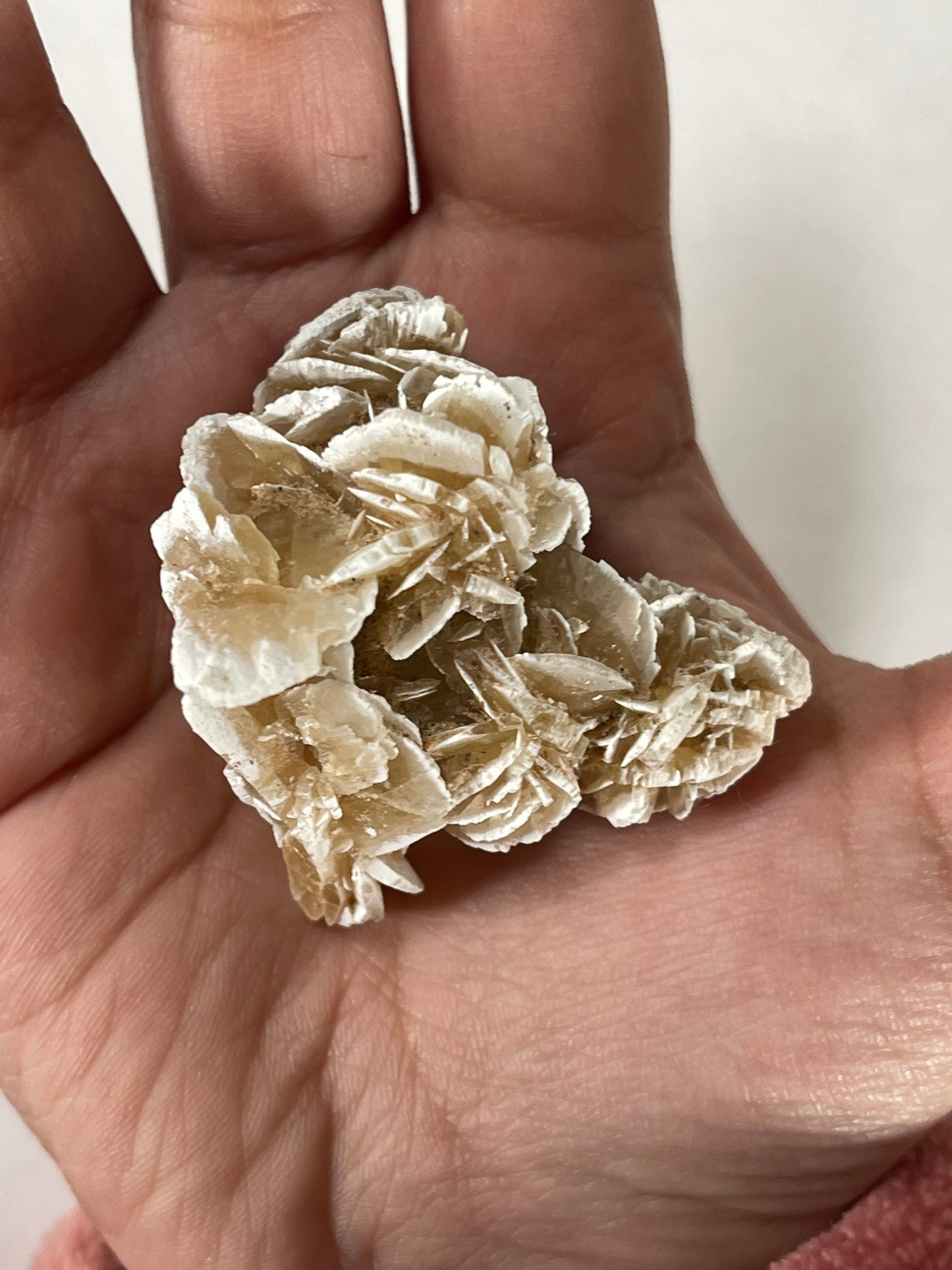 Desert Rose - Beautiful and Unique Large Crystal Selenite Mineral #15