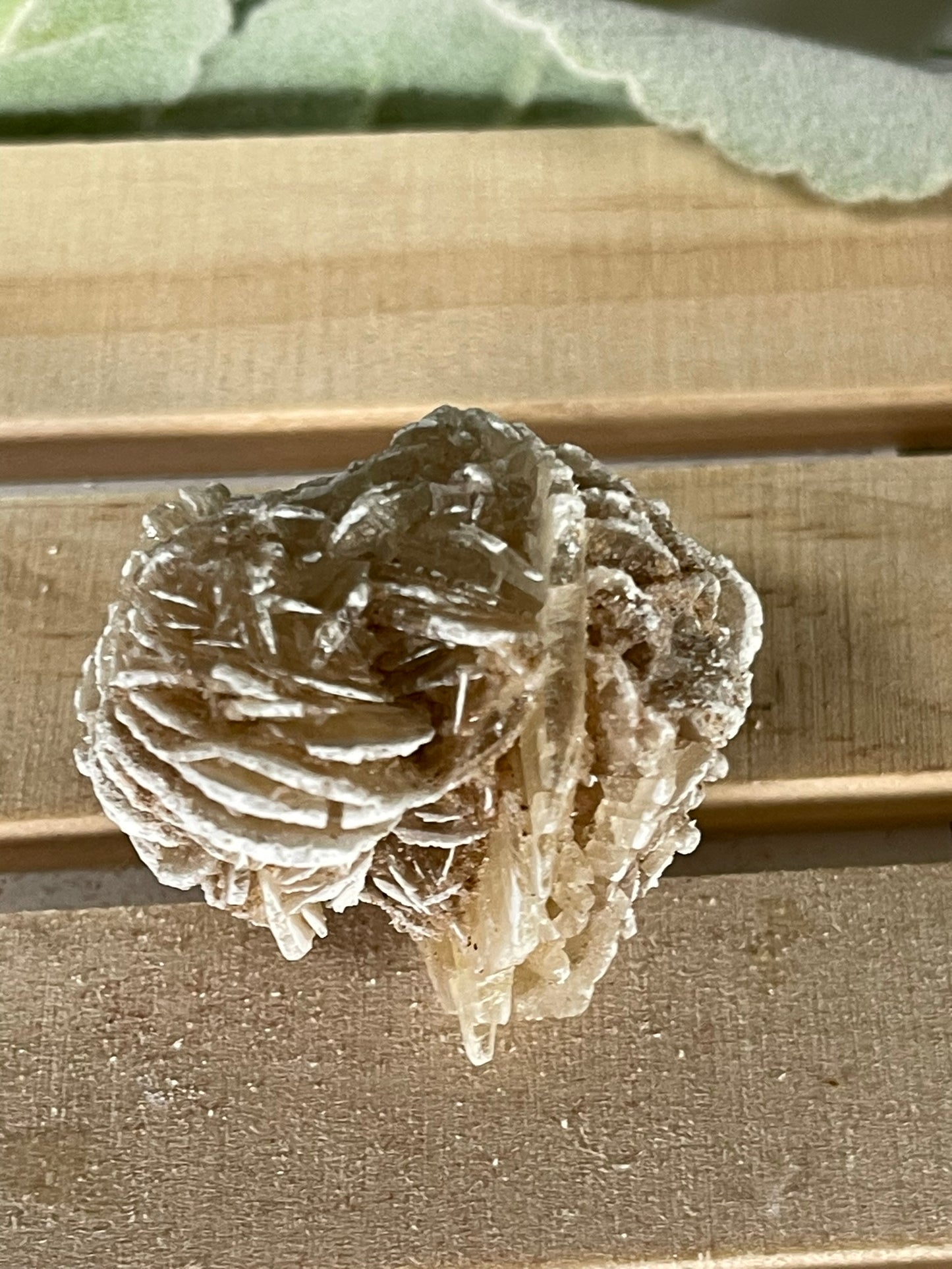 Desert Rose - Beautiful and Unique Large Crystal Selenite Mineral #20