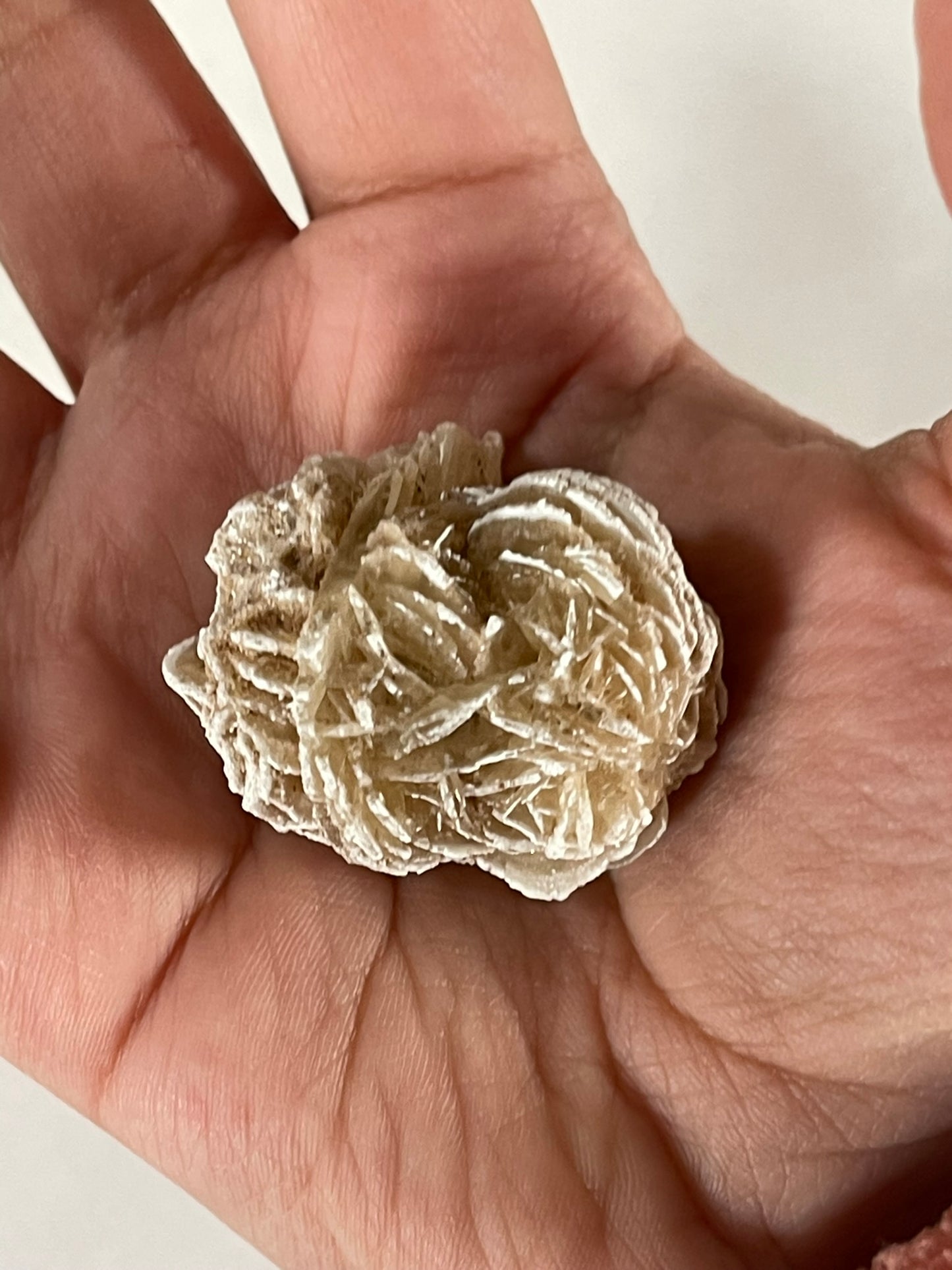 Desert Rose - Beautiful and Unique Large Crystal Selenite Mineral #20