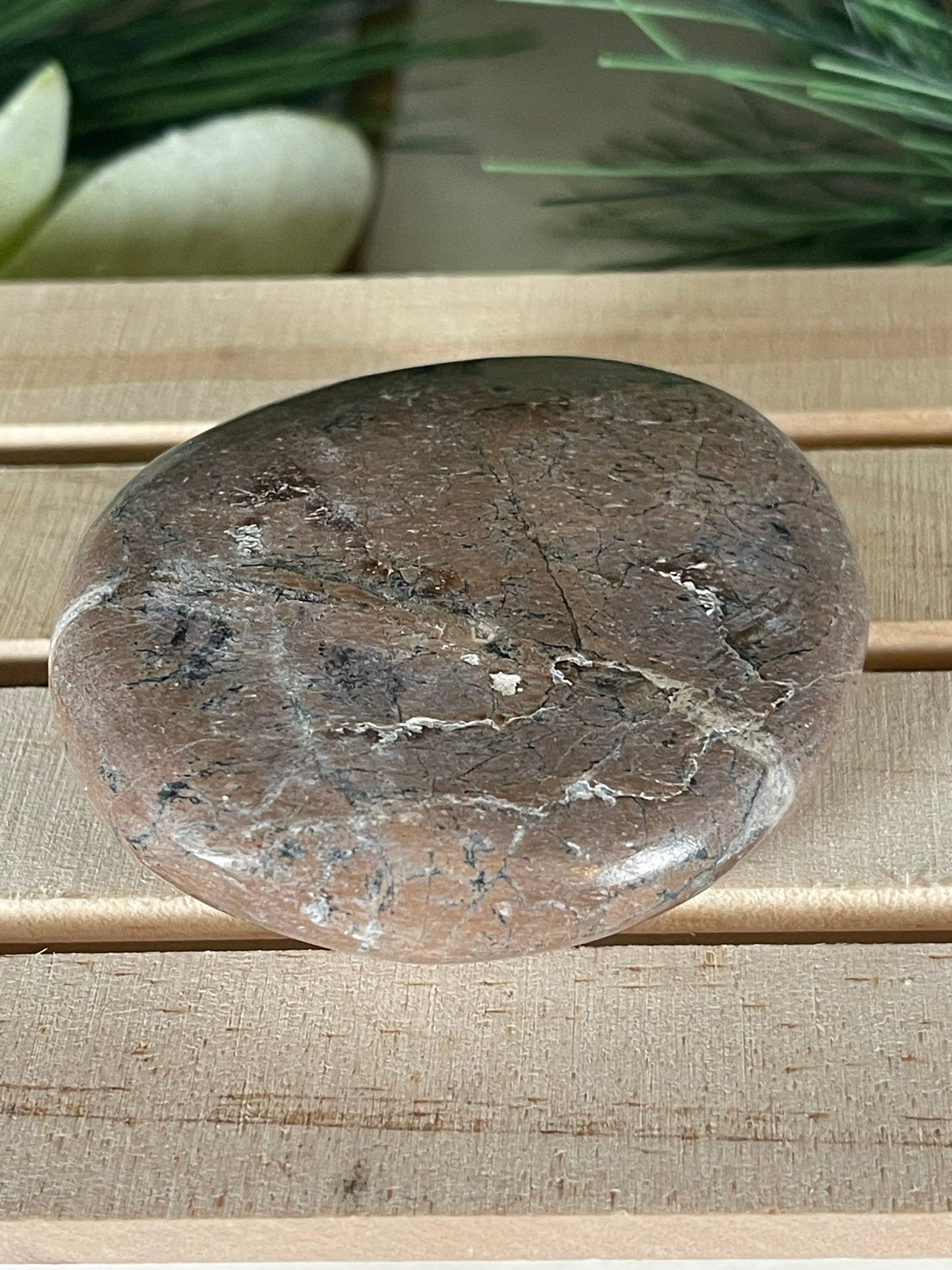 Dinosaur Bone Fossil Original Madagascar Rock Stone Polished - 80g