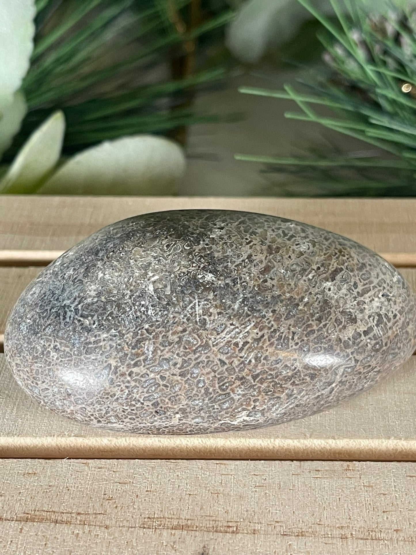 Dinosaur Bone Fossil Original Madagascar Rock Stone Polished - 135g