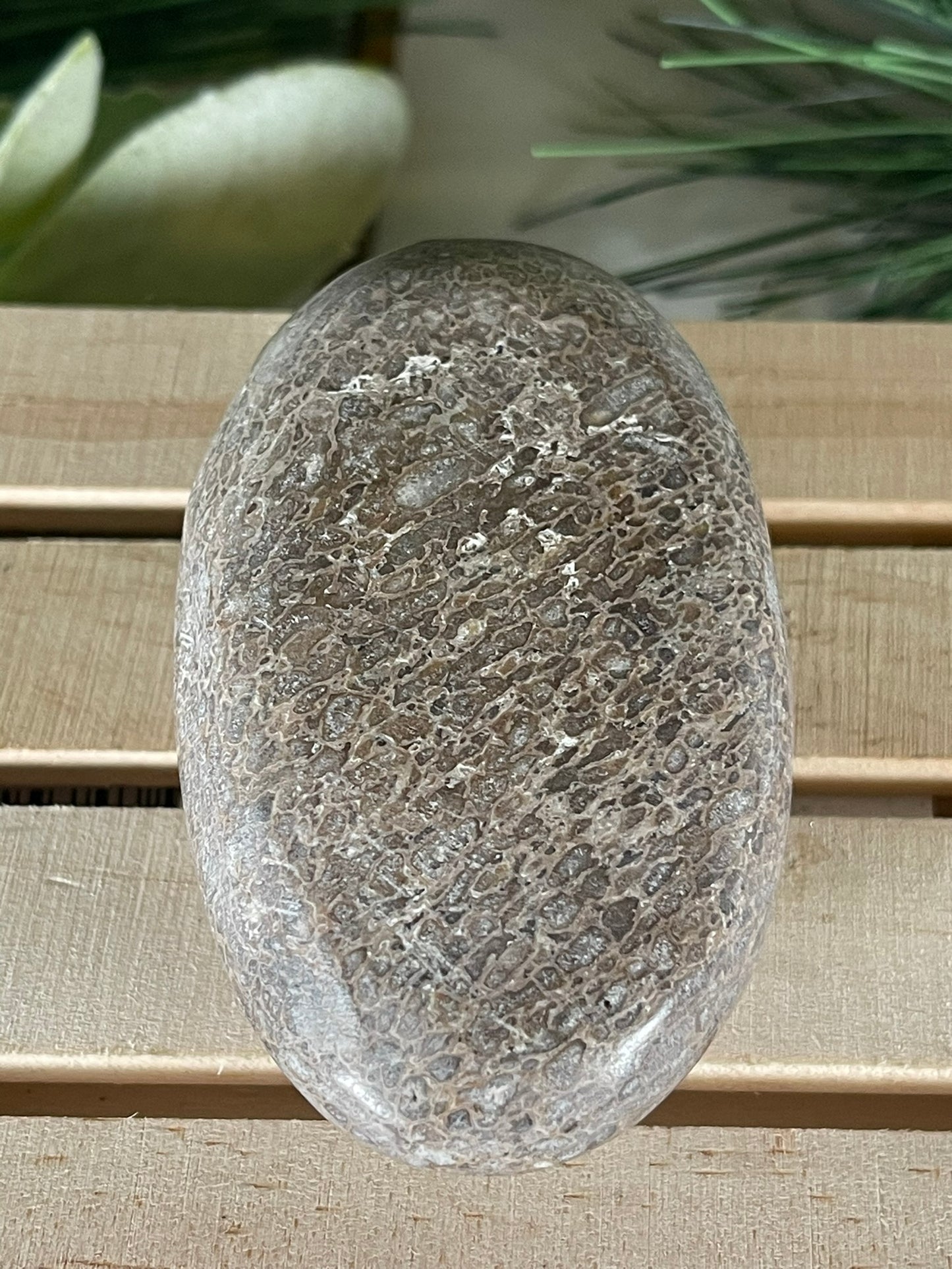 Dinosaur Bone Fossil Original Madagascar Rock Stone Polished - 135g