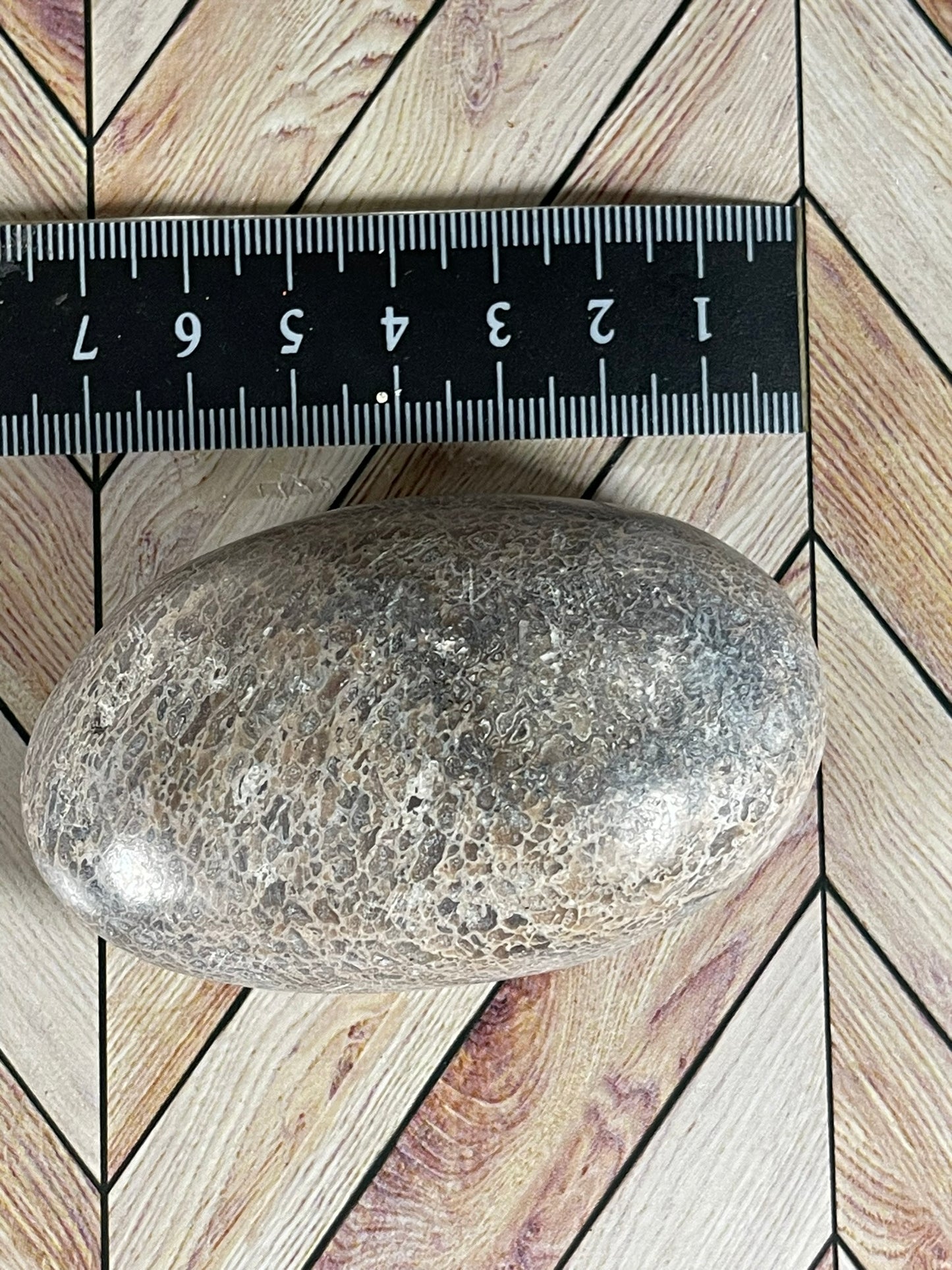 Dinosaur Bone Fossil Original Madagascar Rock Stone Polished - 135g