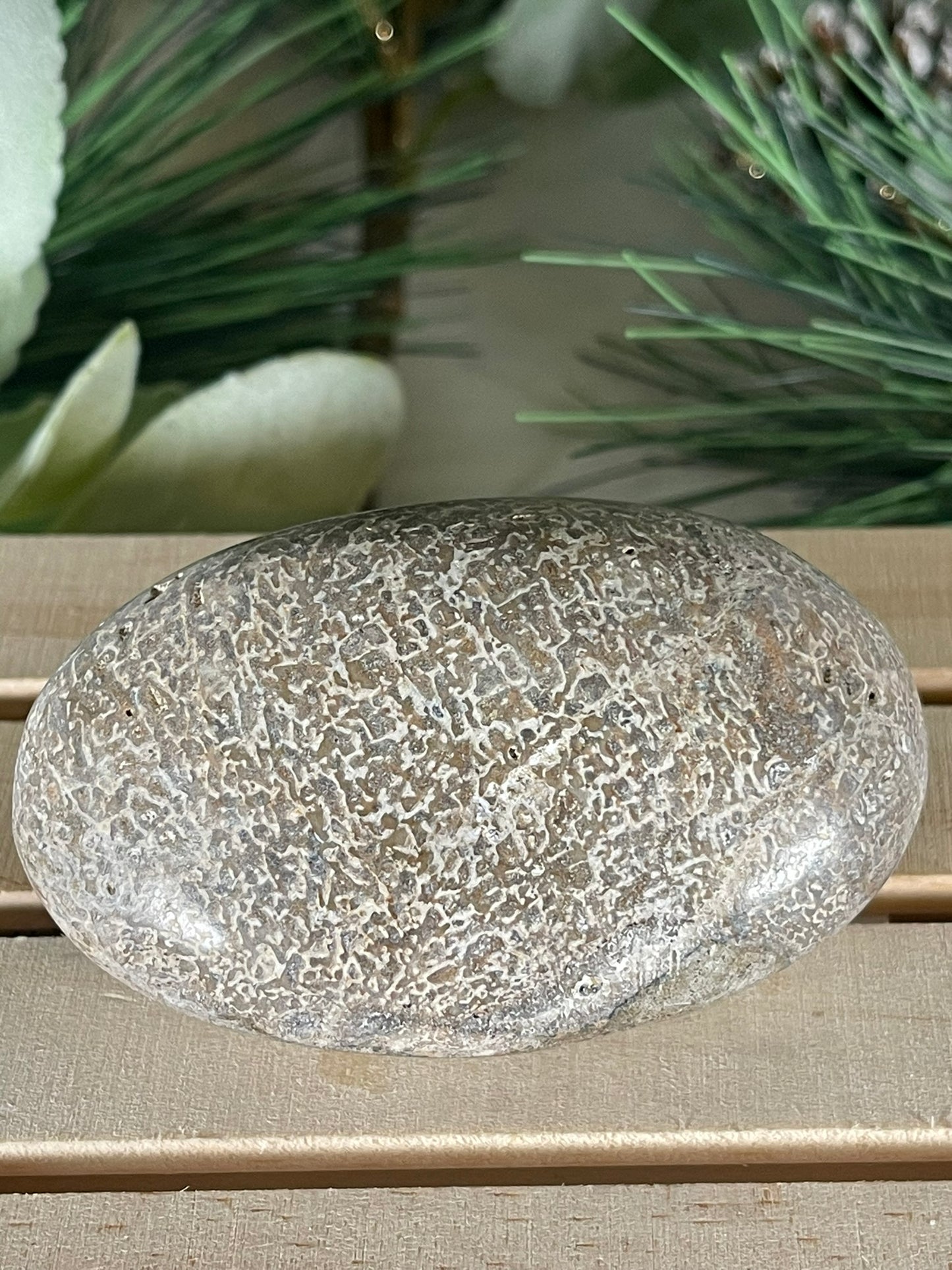 Dinosaur Bone Fossil Original Madagascar Rock Stone Polished - 170g