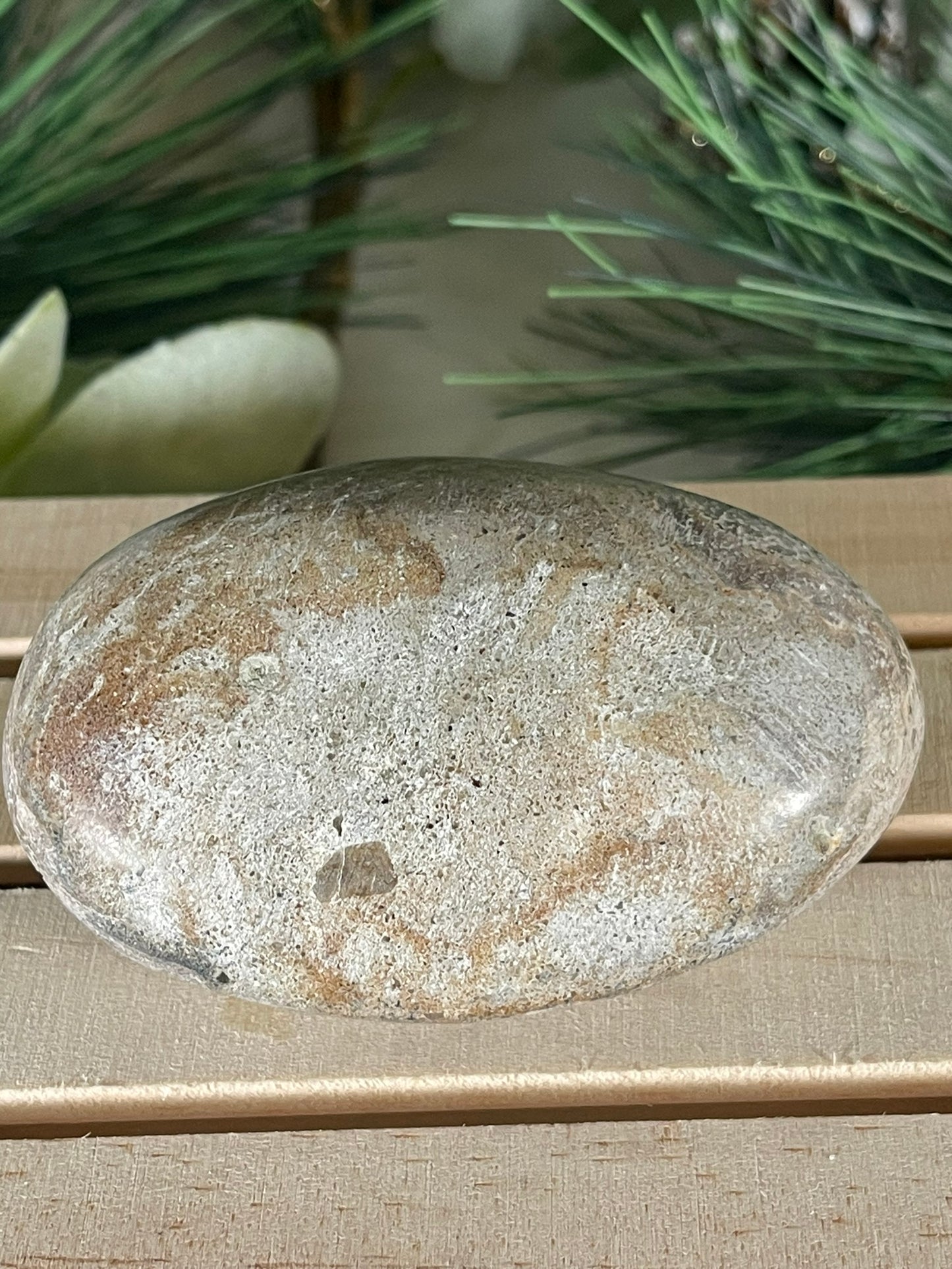 Dinosaur Bone Fossil Original Madagascar Rock Stone Polished - 170g