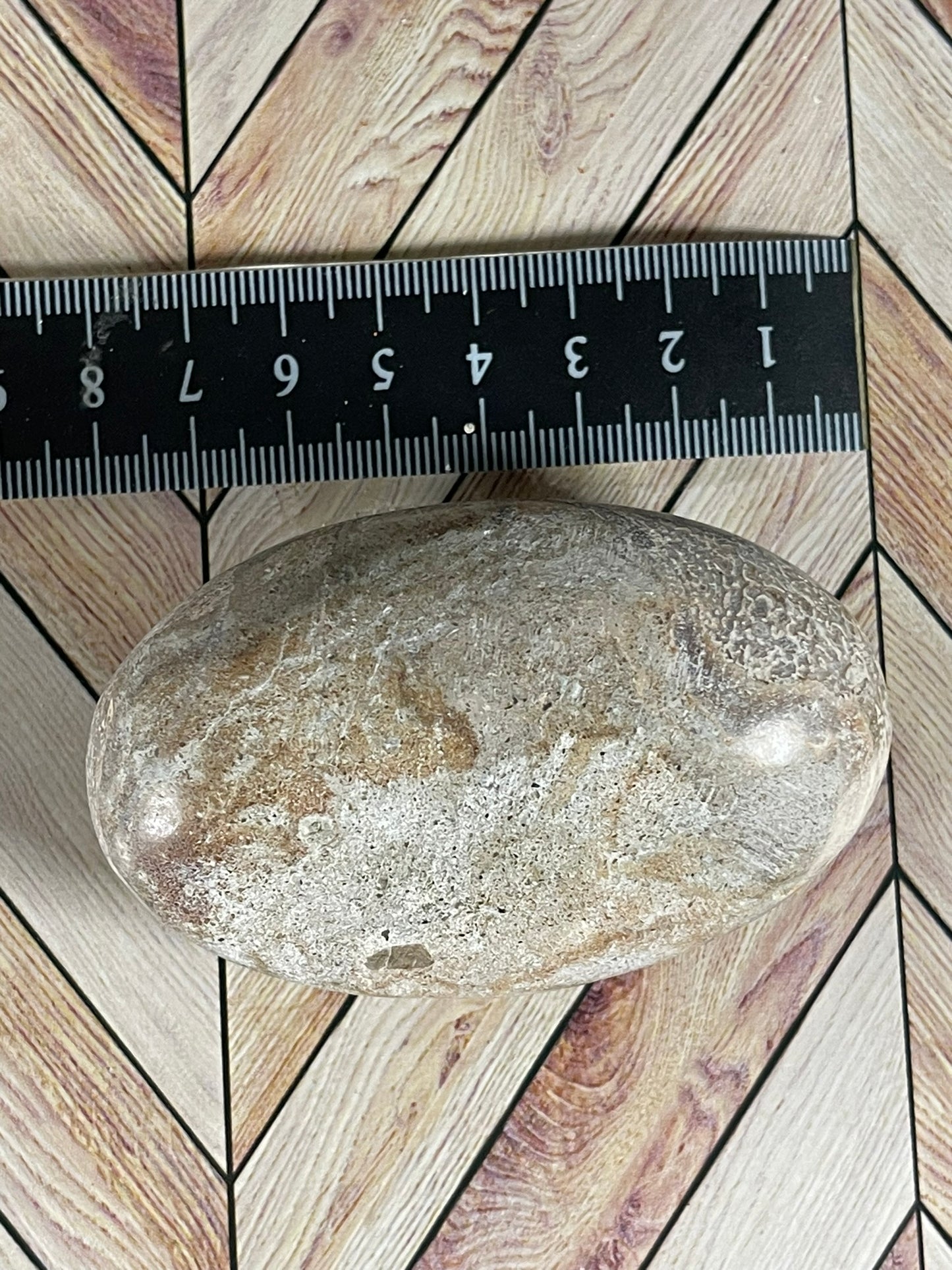 Dinosaur Bone Fossil Original Madagascar Rock Stone Polished - 170g