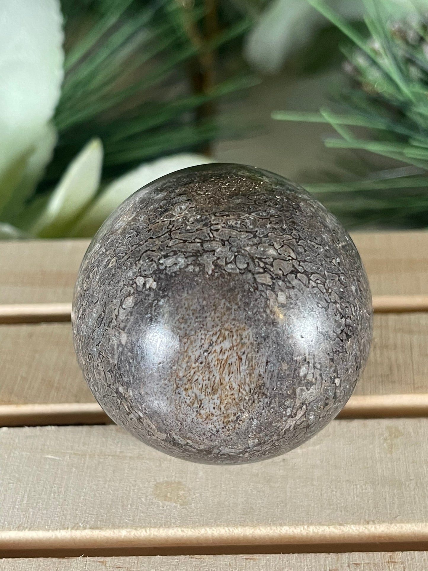 Dinosaur Bone Fossil Original Madagascar Rock Stone Polished Ball - 145g