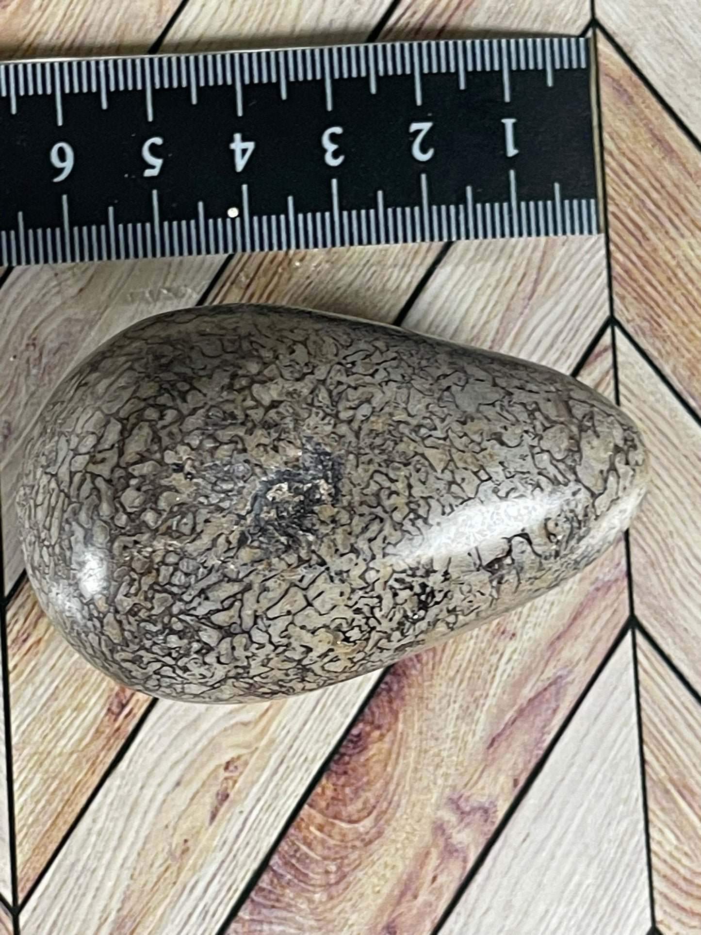 Dinosaur Bone Fossil Original Madagascar Rock Stone Polished Egg - 137g