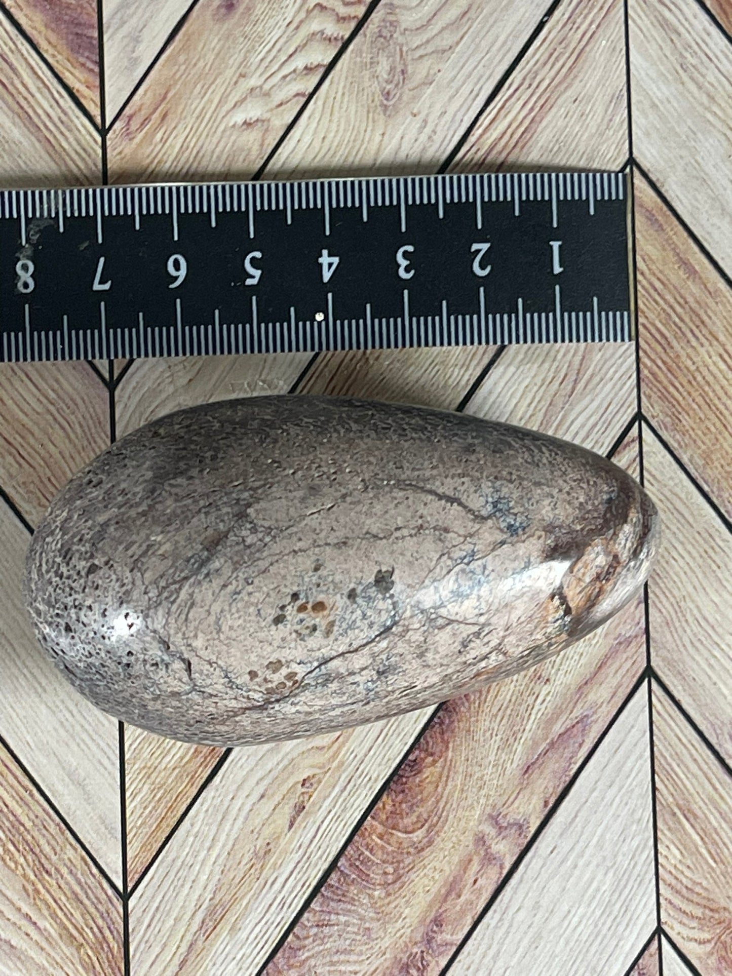 Dinosaur Bone Fossil Original Madagascar Rock Stone Polished Egg - 146g