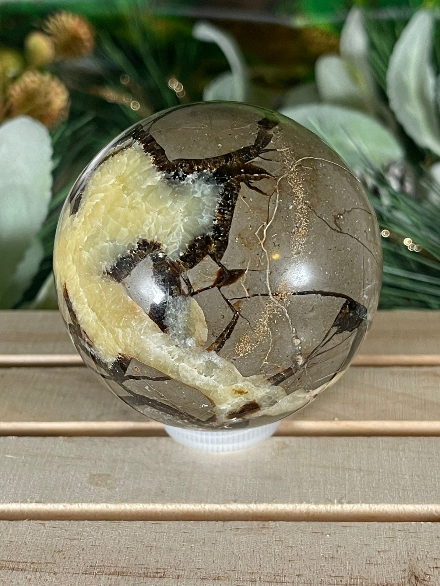 Crystal Ball - Dragon Septarian Rare Unique Sphere Natural Stone Geod Quartz Jasper - 415g