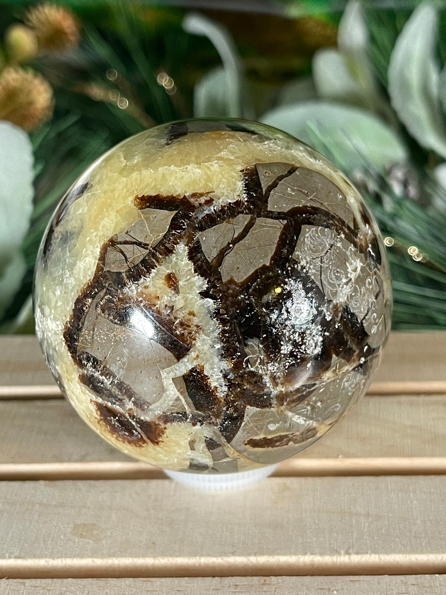 Crystal Ball - Dragon Septarian Rare Unique Sphere Natural Stone Geod Quartz Jasper - 415g