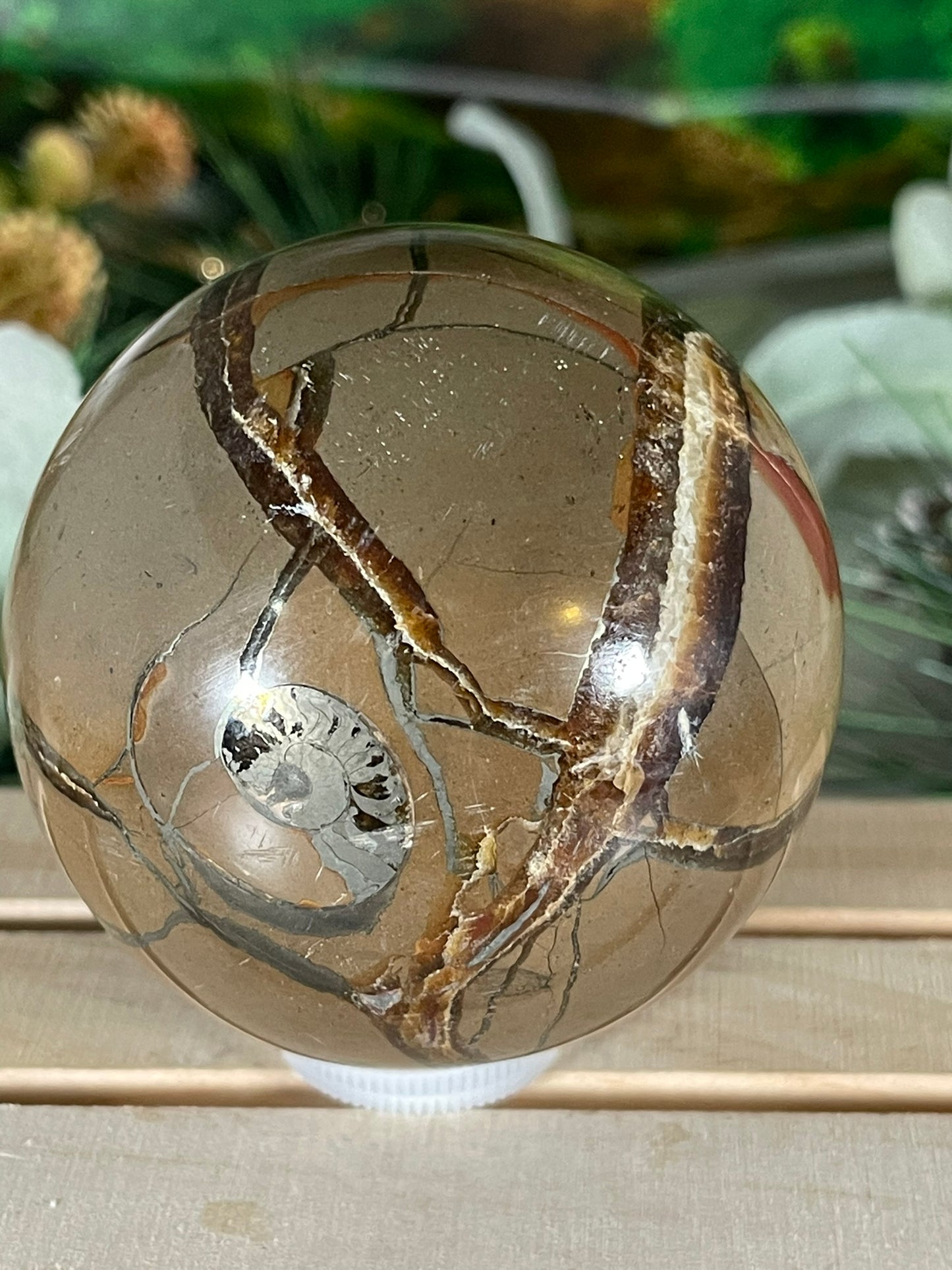 Crystal Ball - Dragon Septarian Rare Unique Sphere Natural Stone Geod Quartz Jasper - 575g