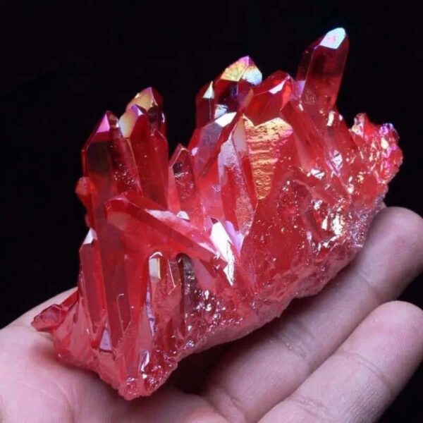 sample cluster 1